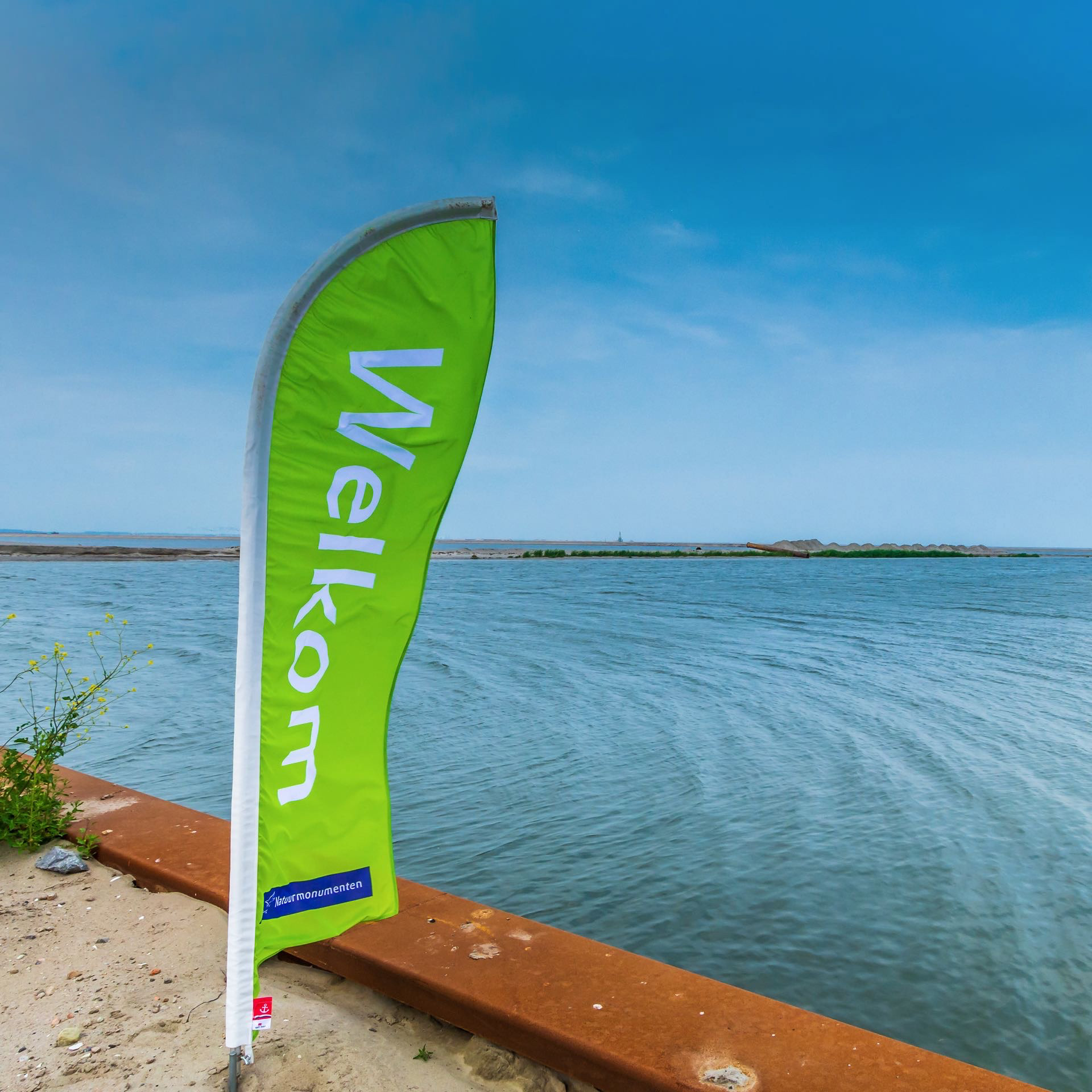 #MWF1021 Markerwadden