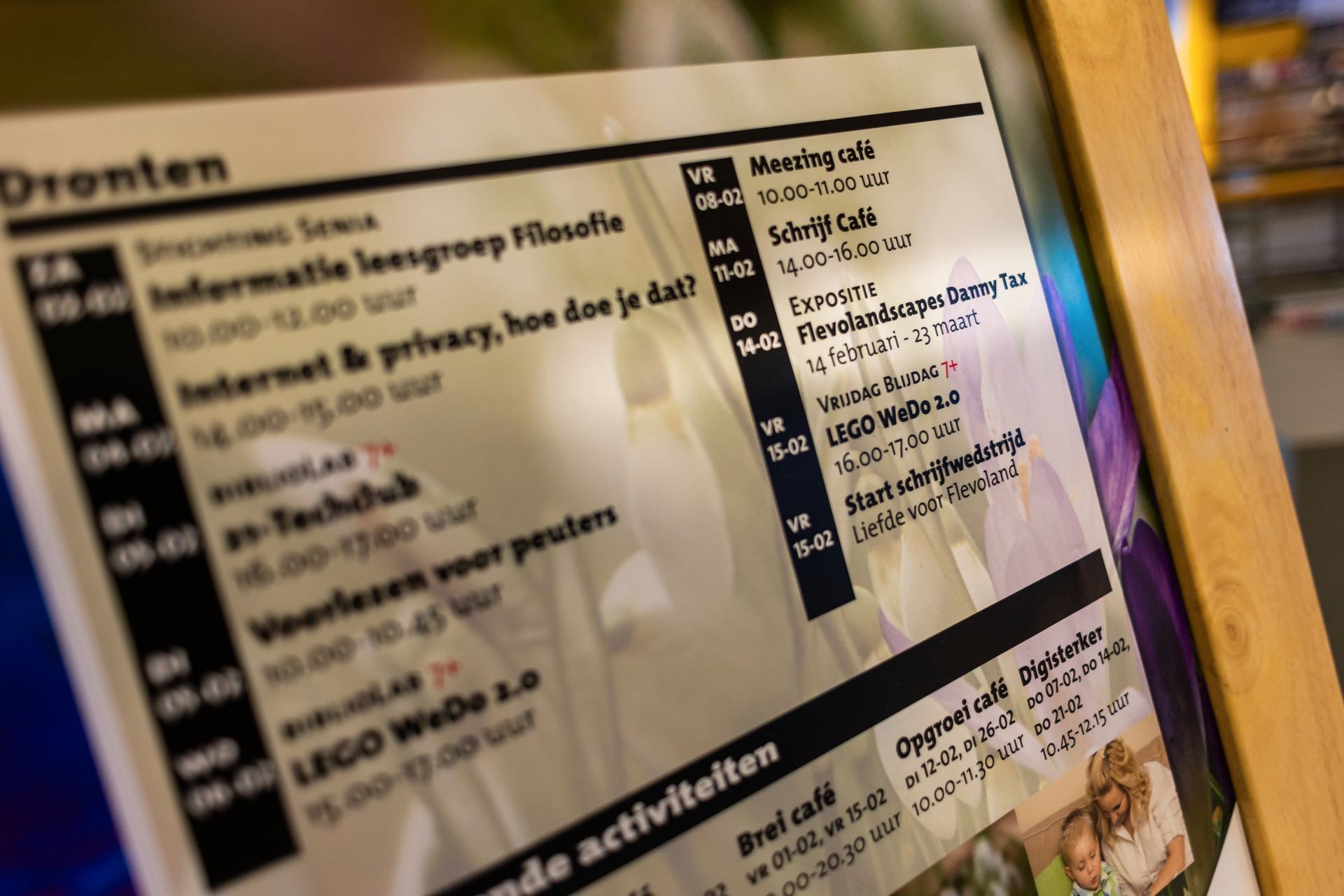 Flevolandscapes EXPO 2019