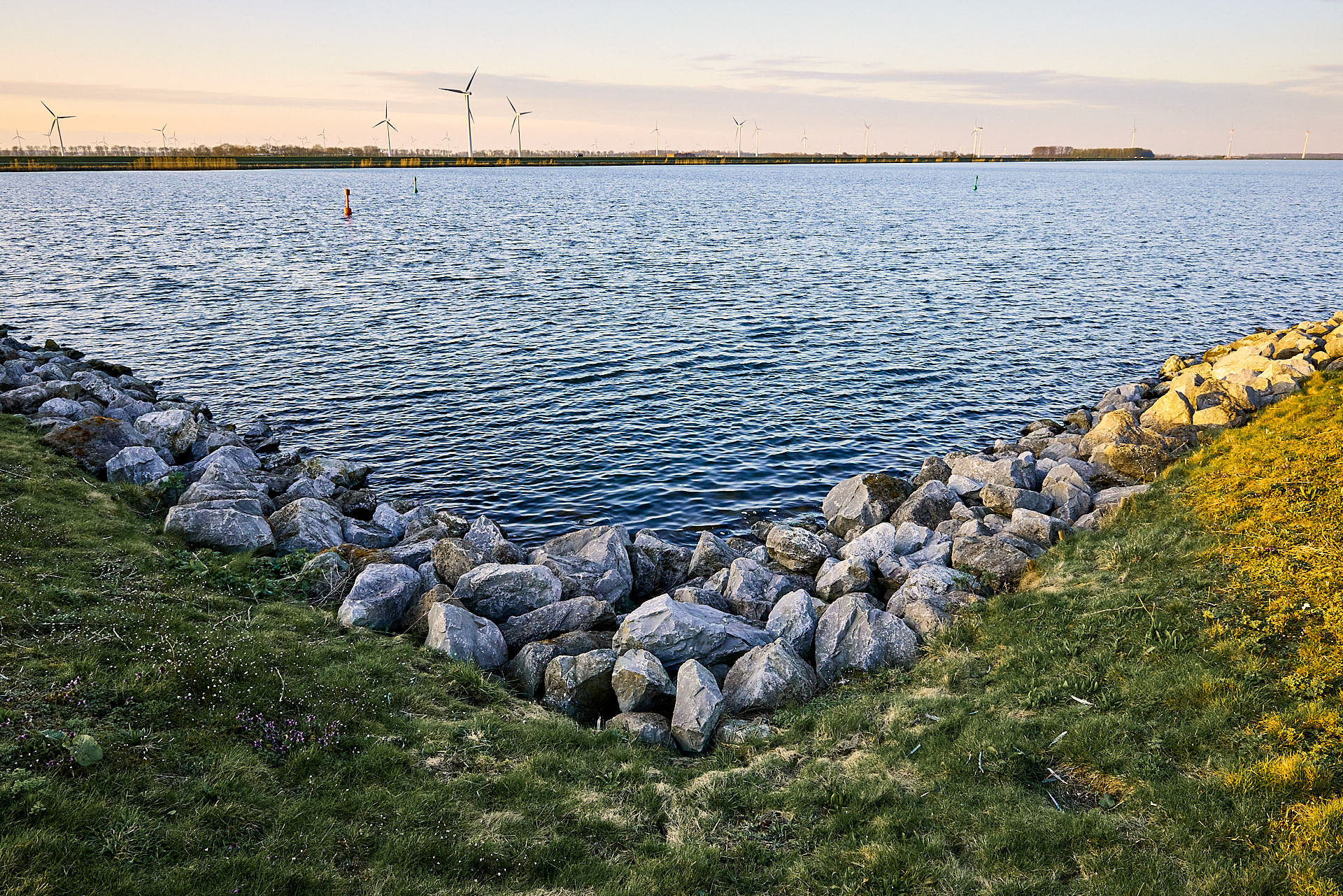 #ZW1011 Tulpen eiland