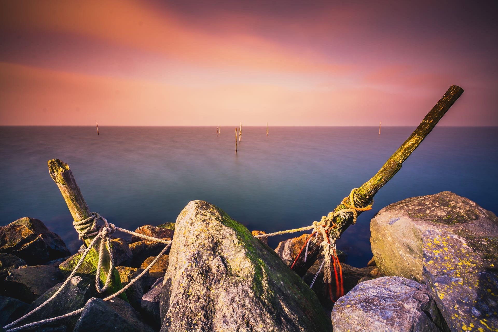 FLEVOLAND WATERLAND #FLWL1003