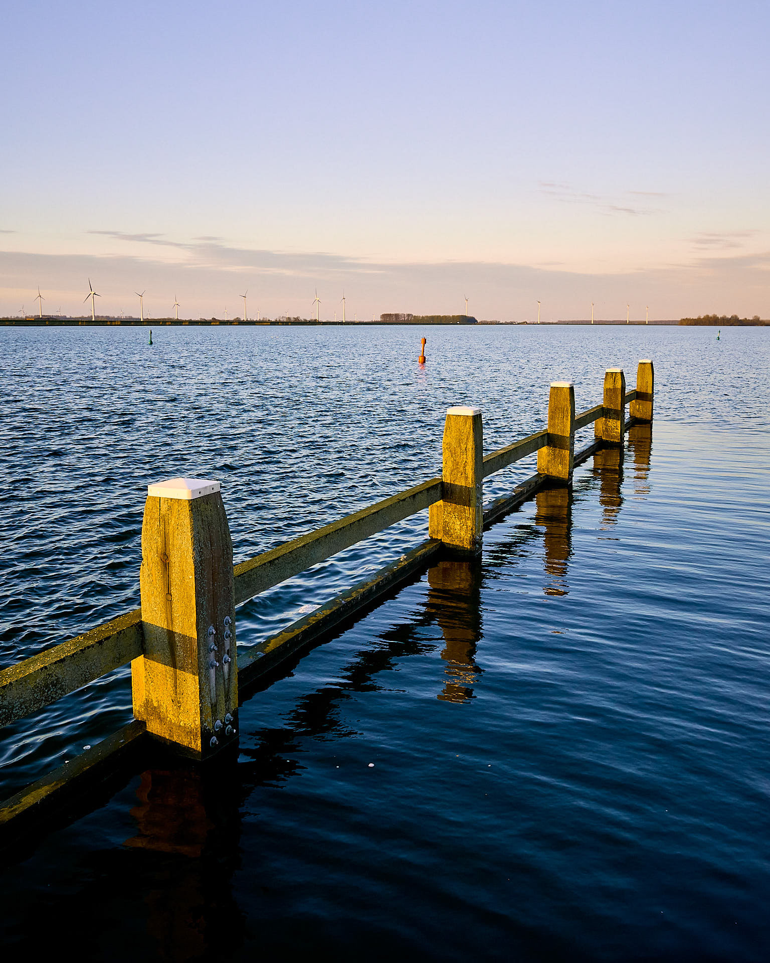 #ZW1008 Tulpen Eiland