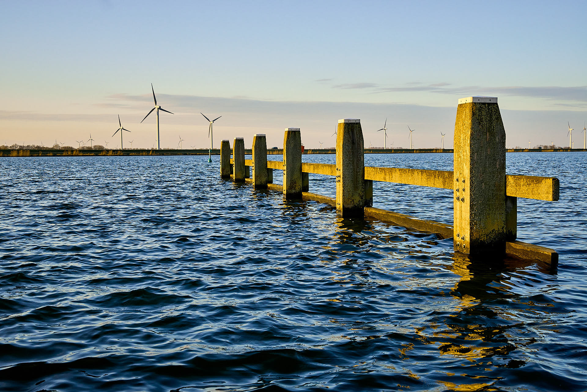 #ZW1009 Tulpen eiland