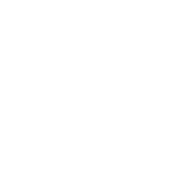 pontoni.studio logo