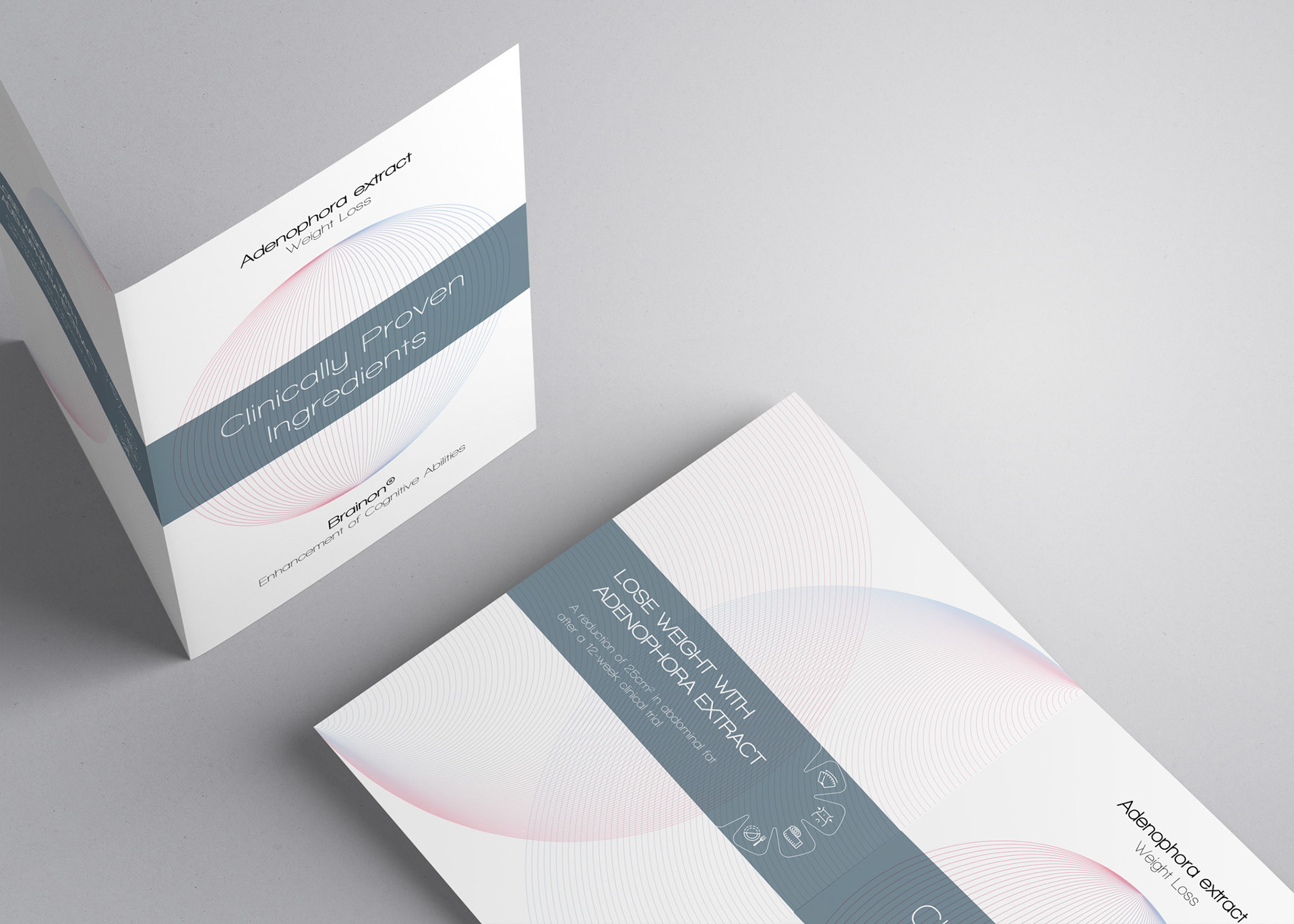 동일팜텍 브로슈어