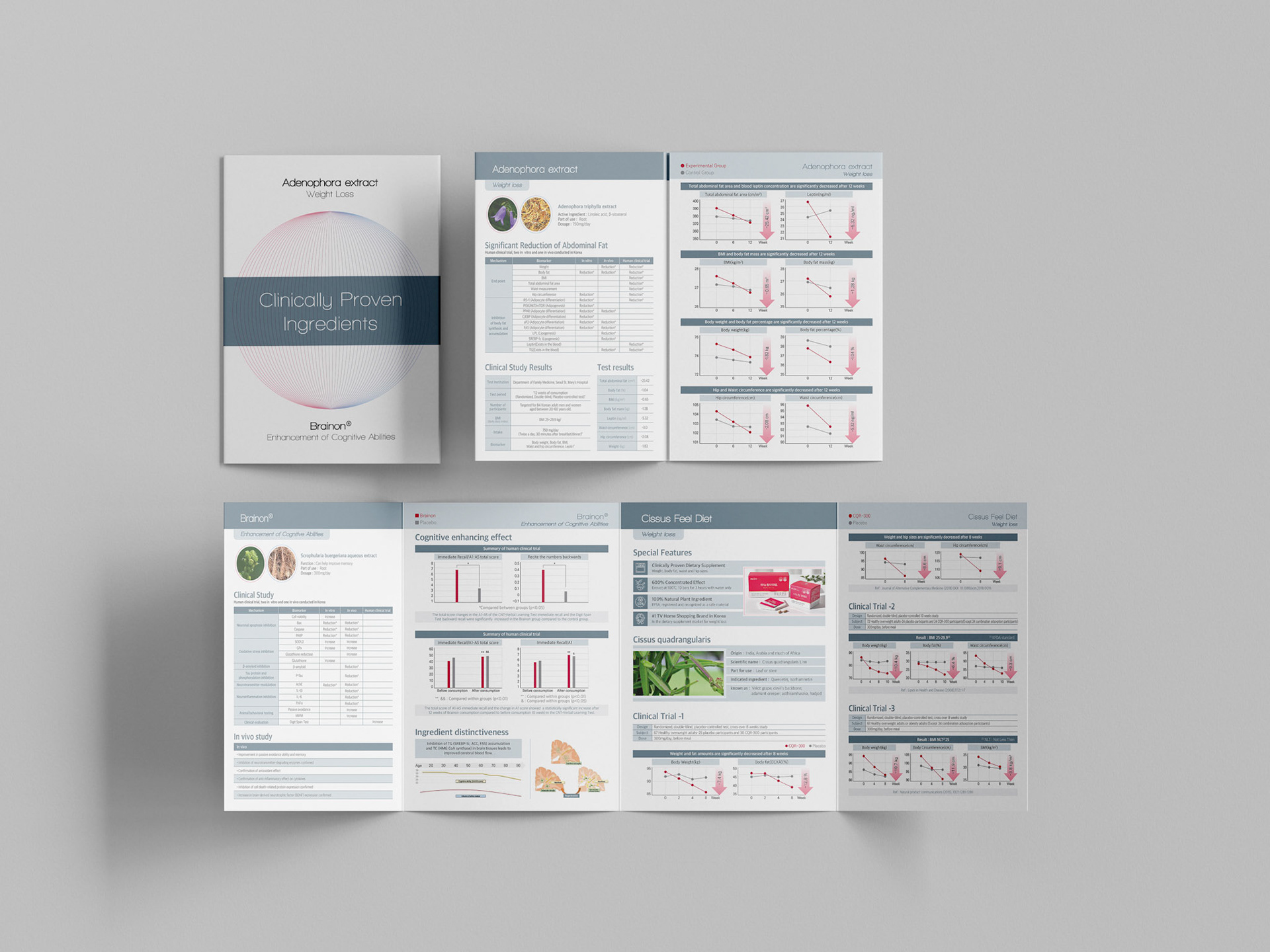 동일팜텍 브로슈어