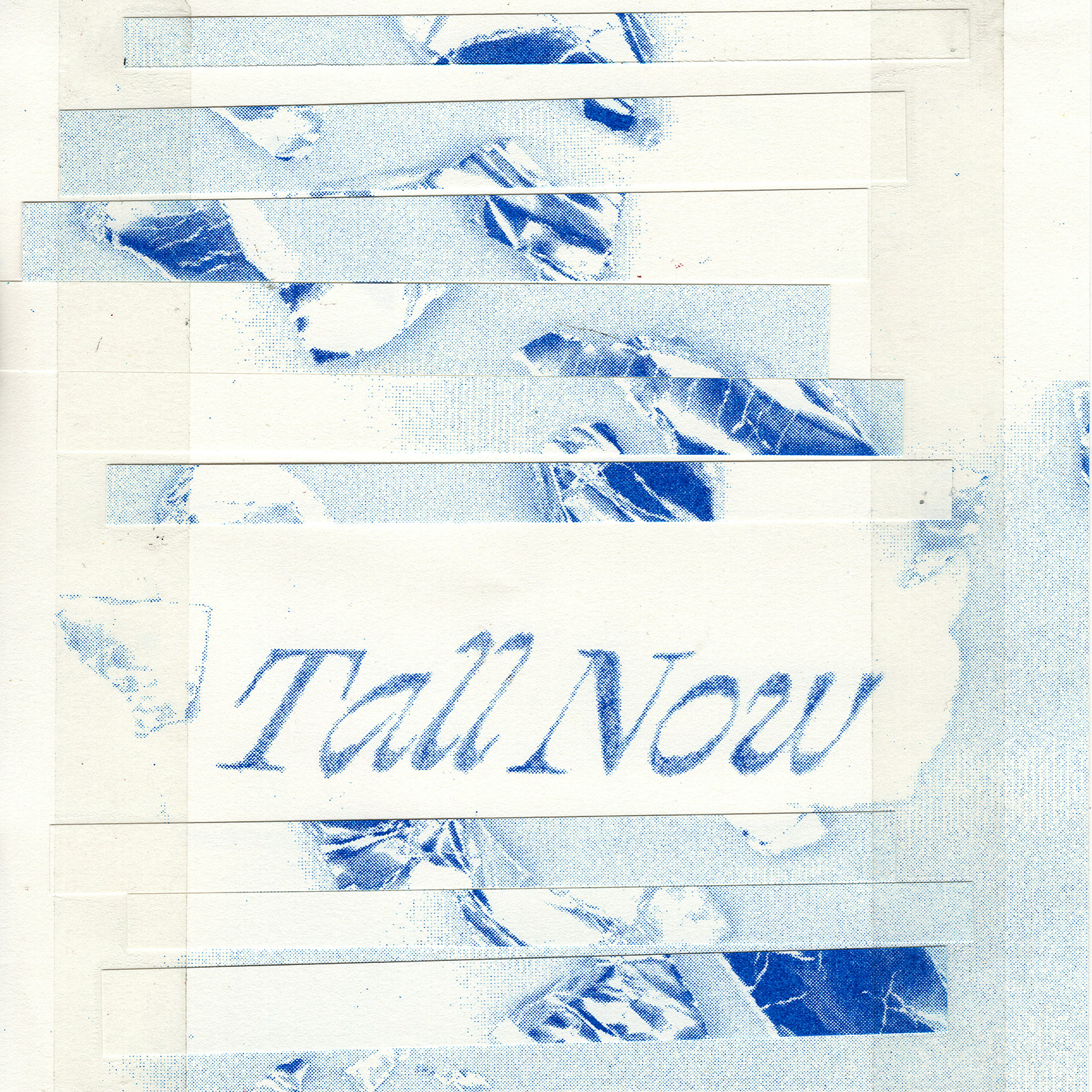 Single Artwork (collab with Lucy Ryan) for Bobbi Lu - Tall Now