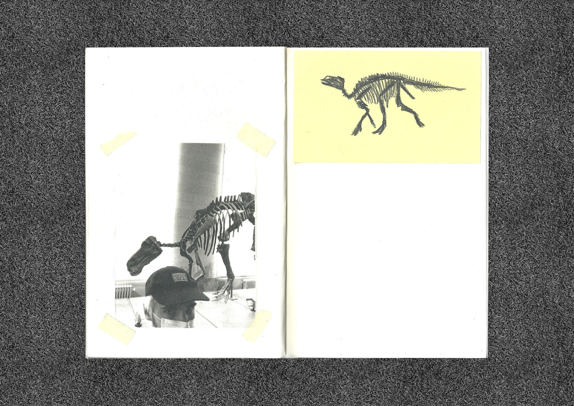dinozine 2021
