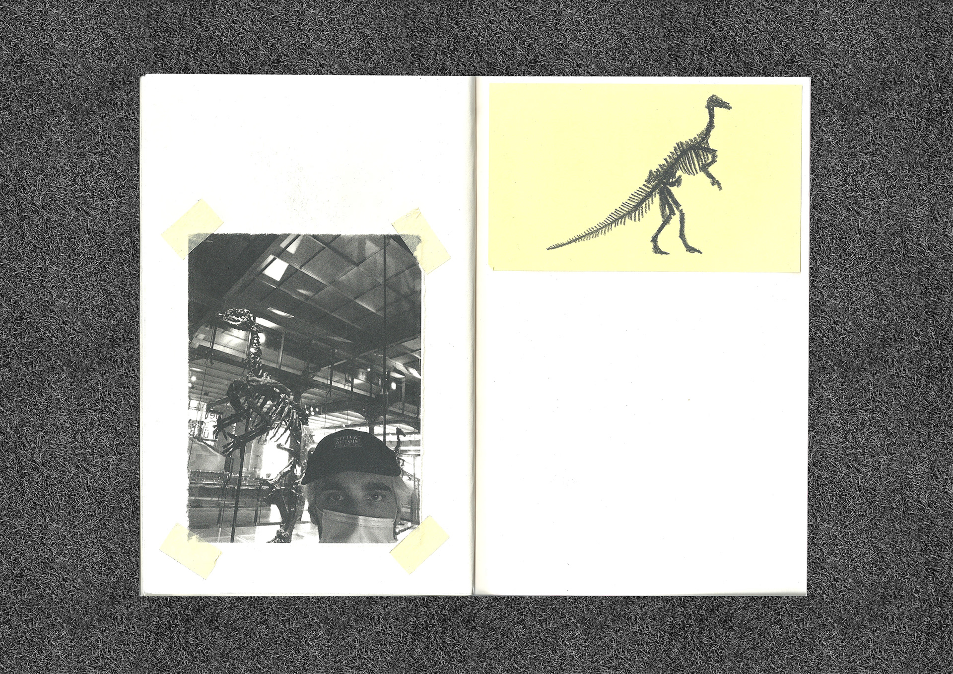 dinozine 2021