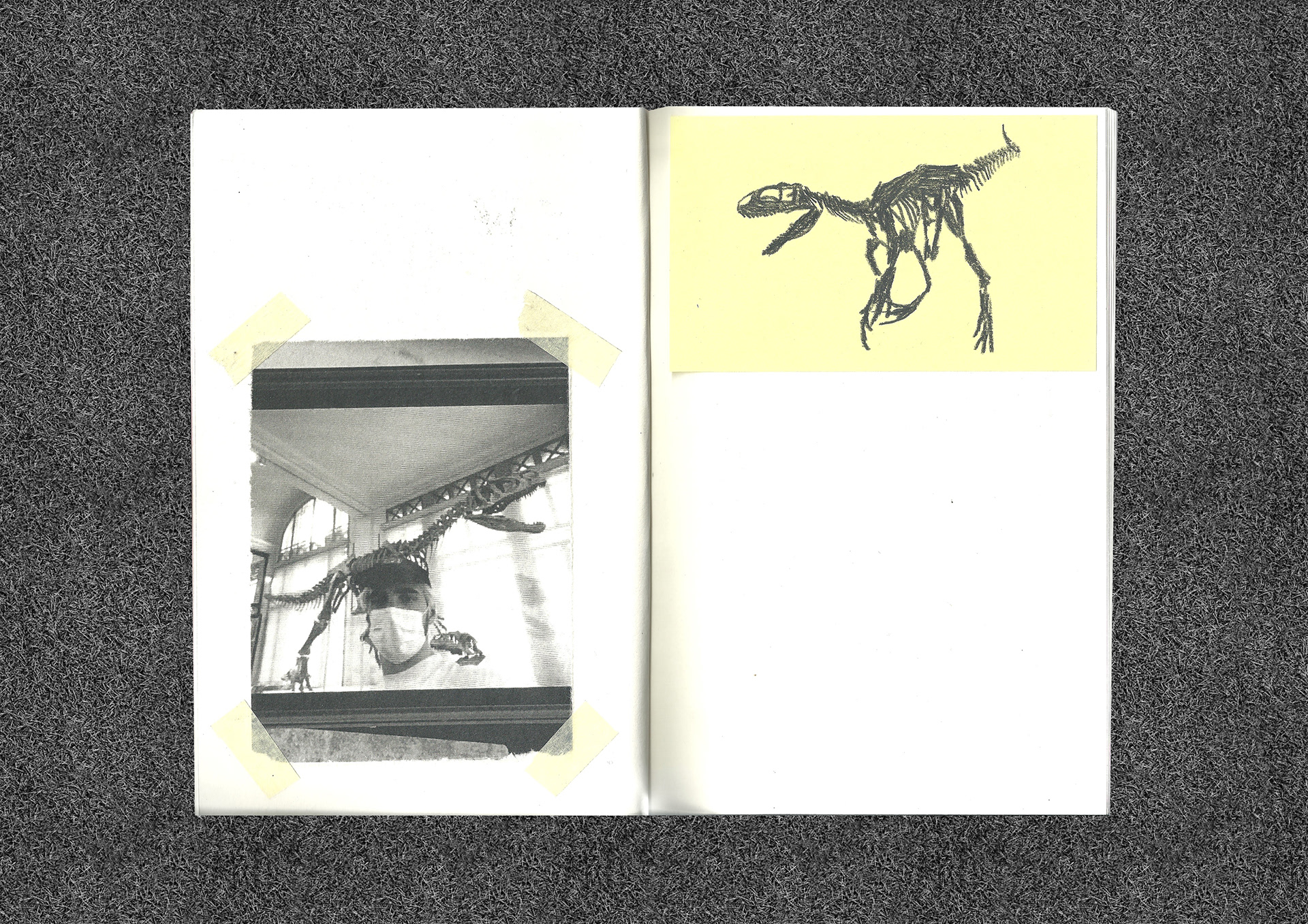 dinozine 2021