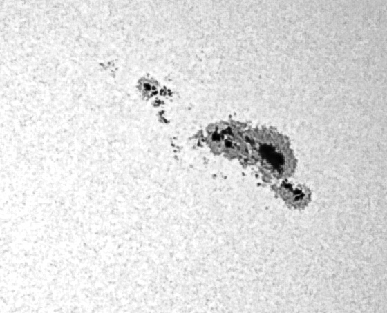 SunSpot Group 3590 2024_02_25