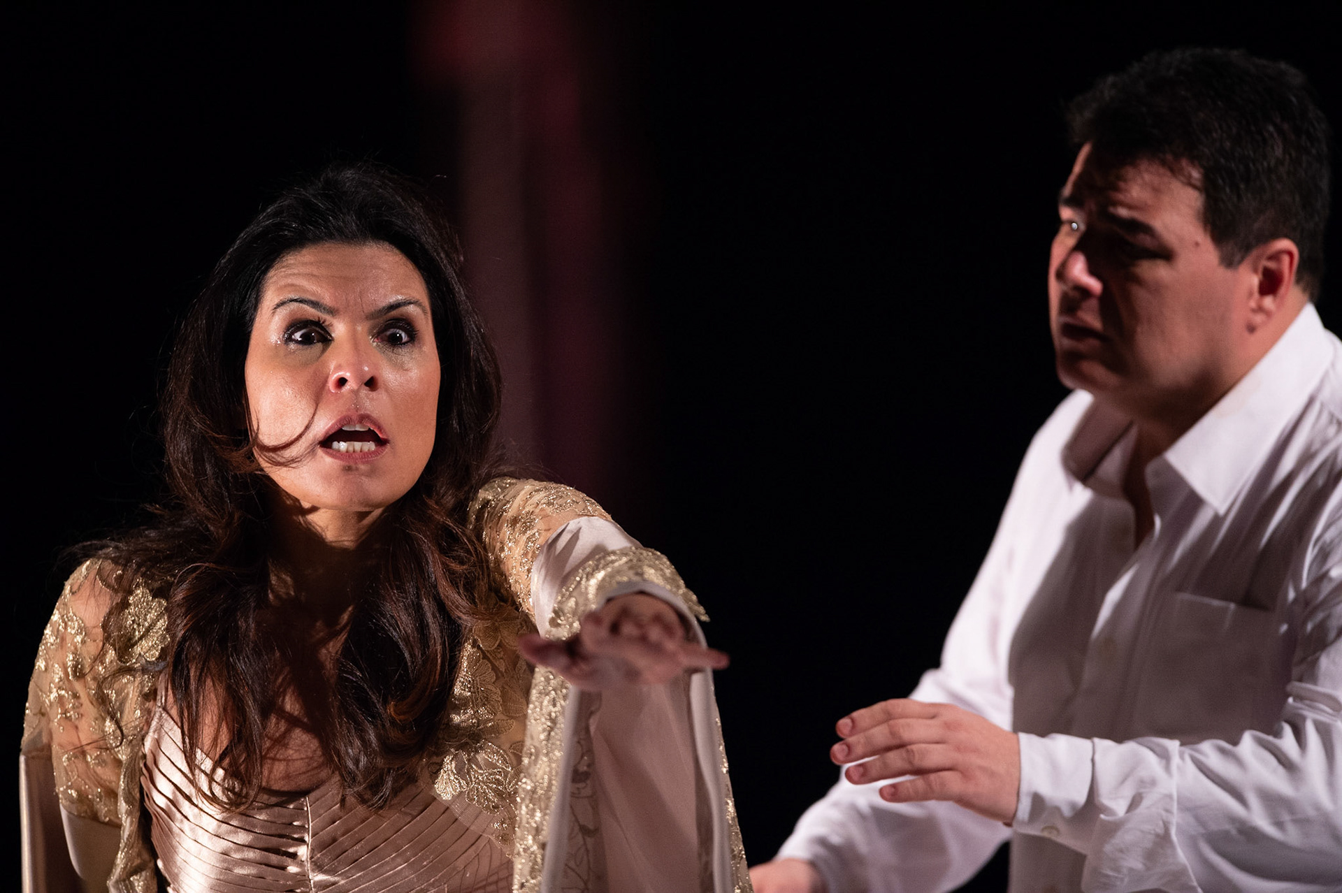 Ensaio Geral de Adriana de Lecourvrer