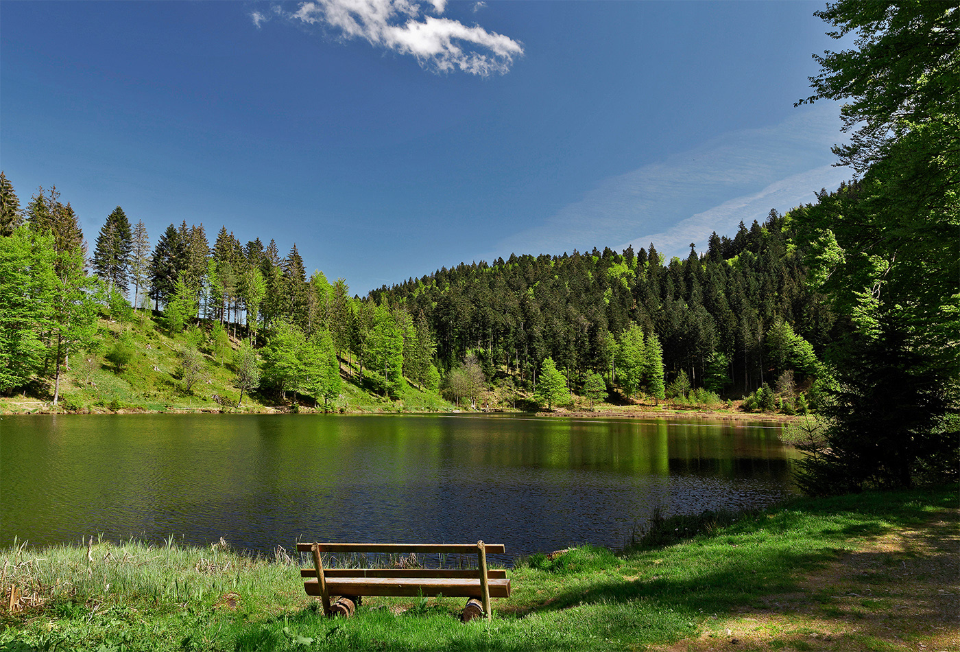 Nonnenmattweiher