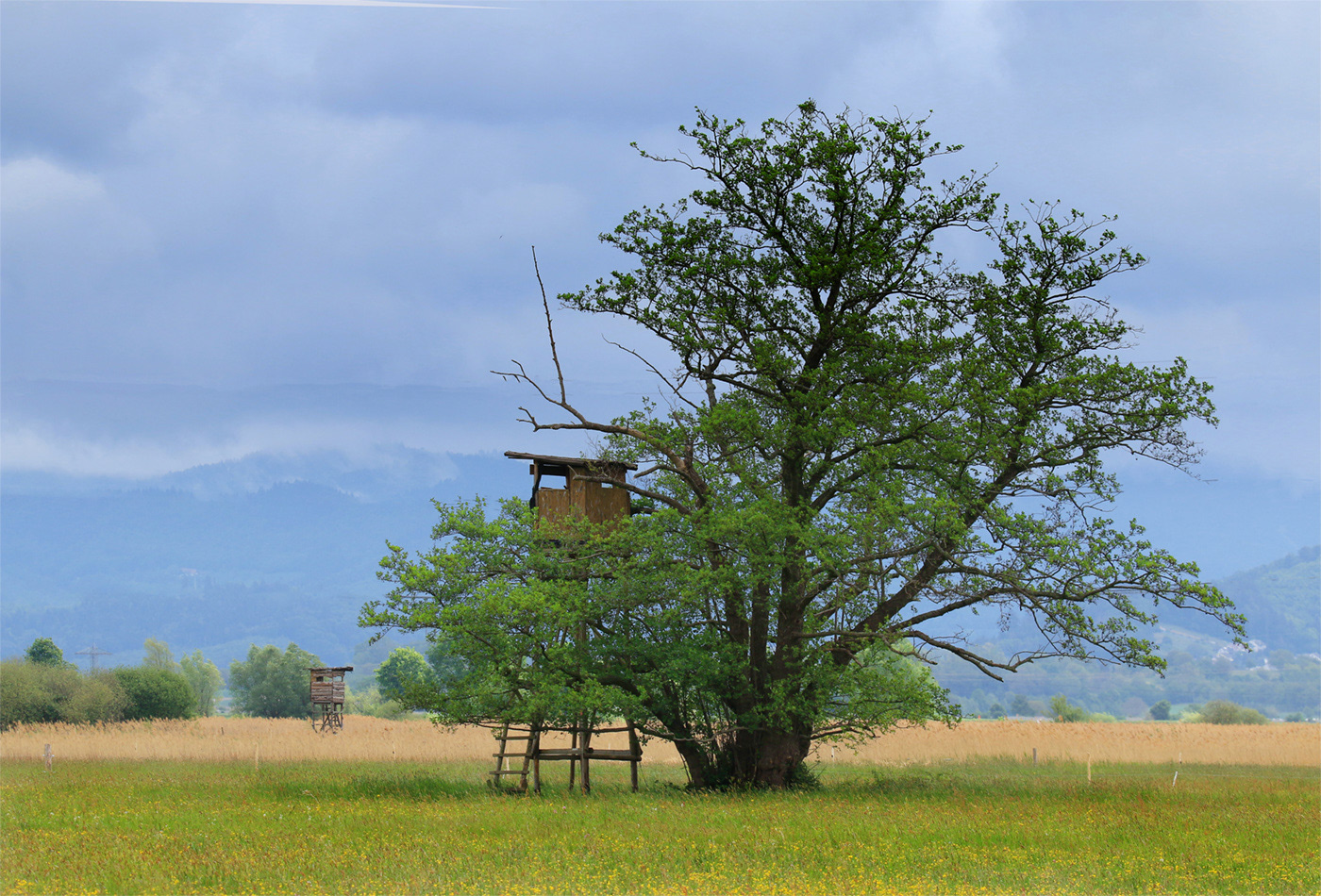Dundenheim