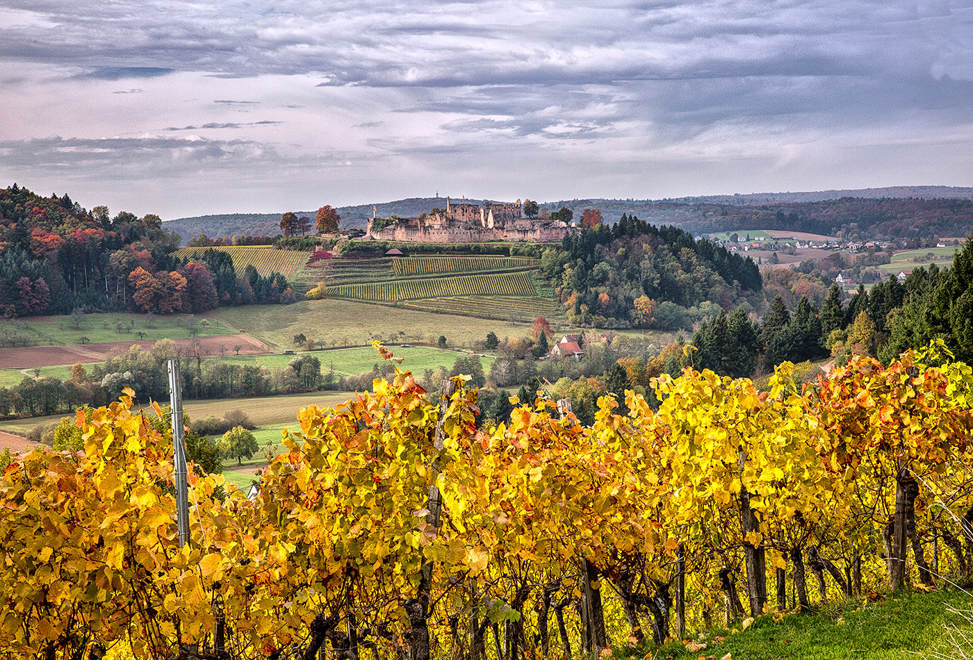 Blick zur Hochburg