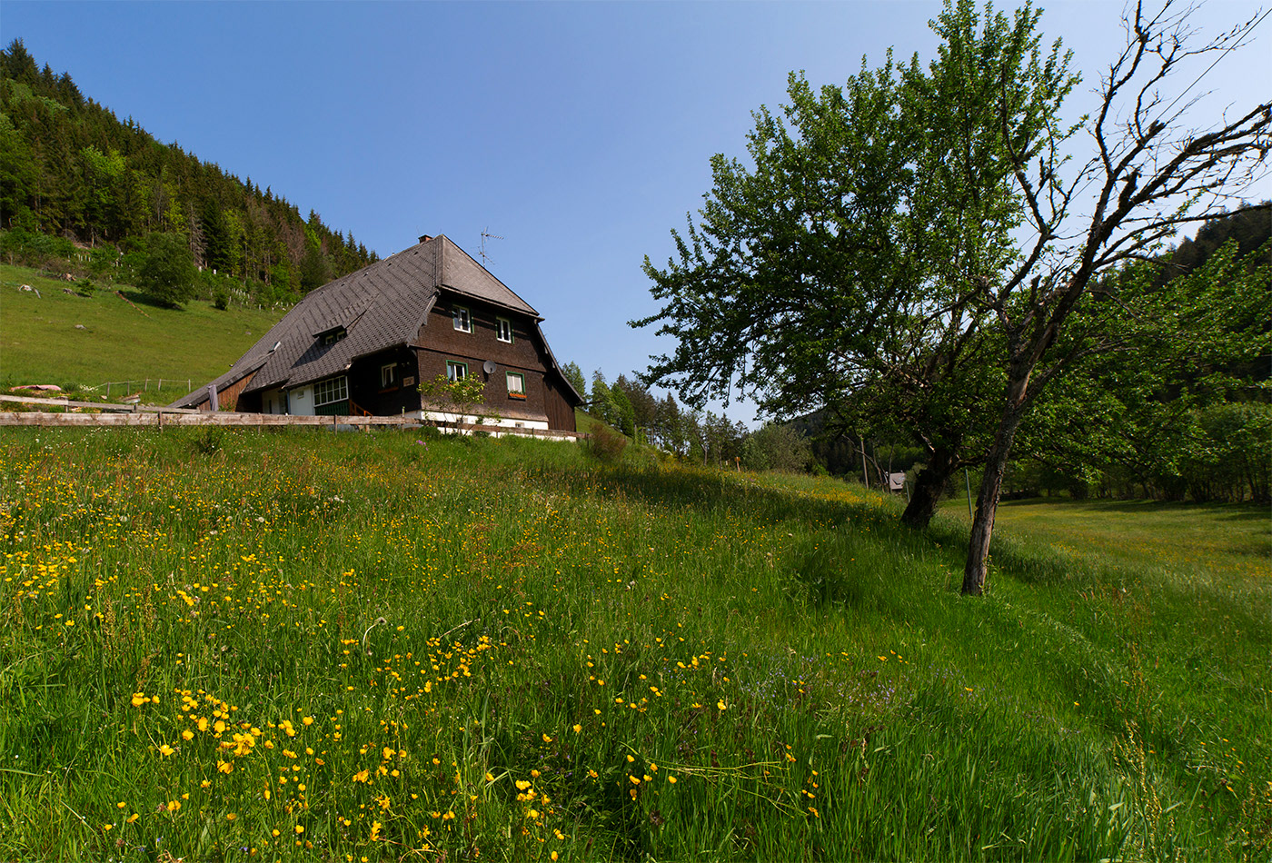 Rohrhardsberg