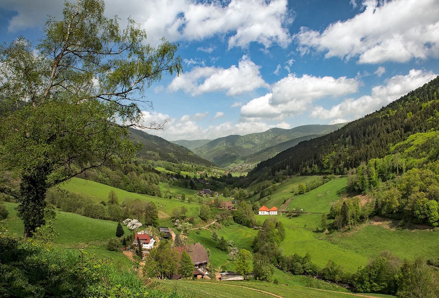 Simonswald