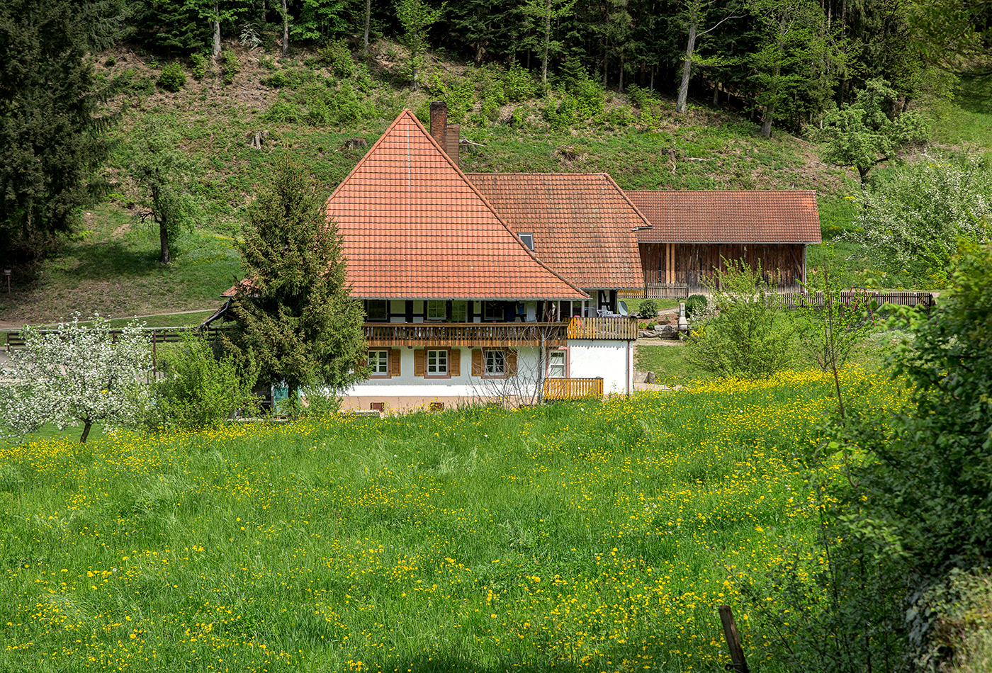 Suggental