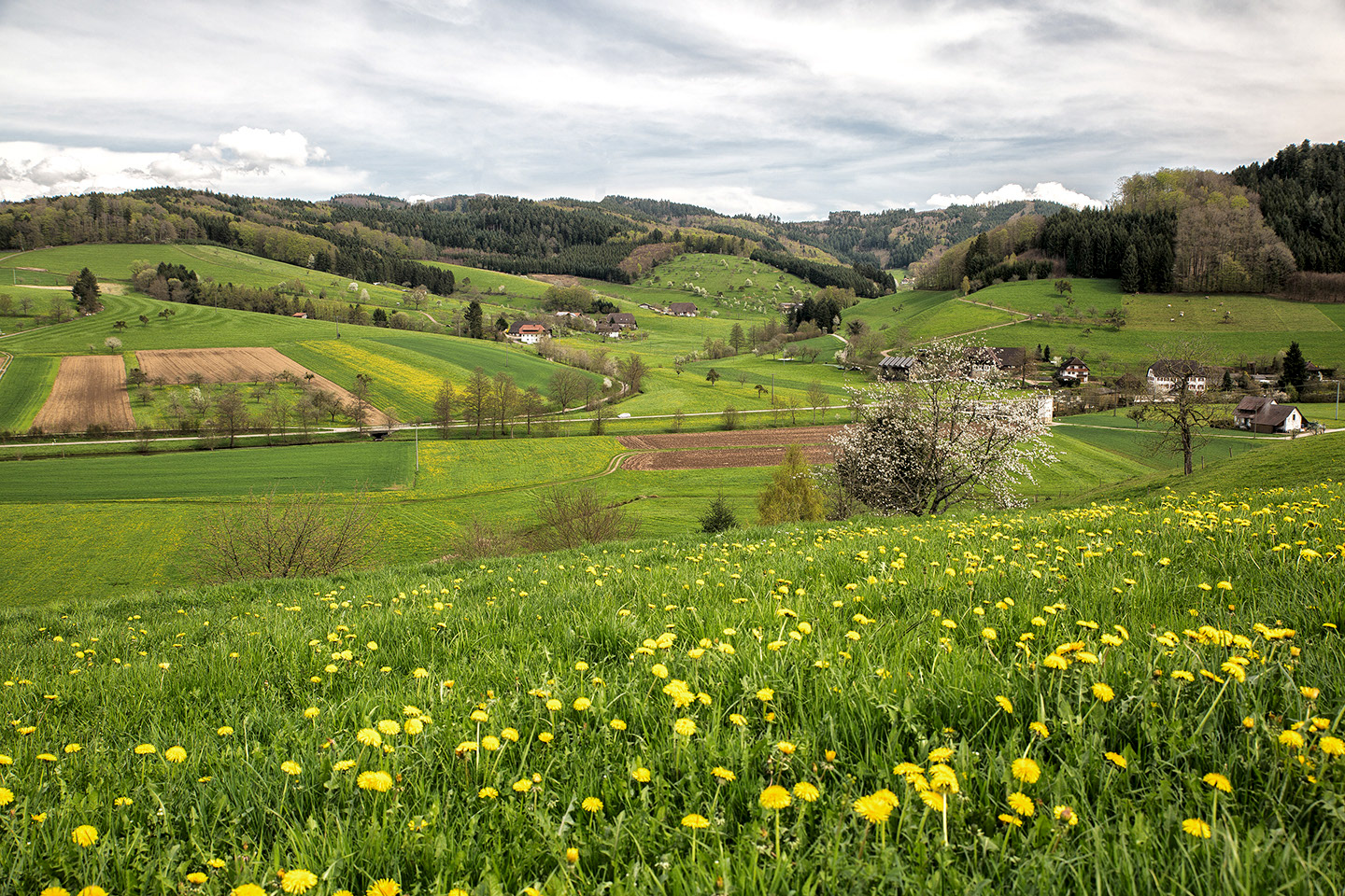 Schuttertal