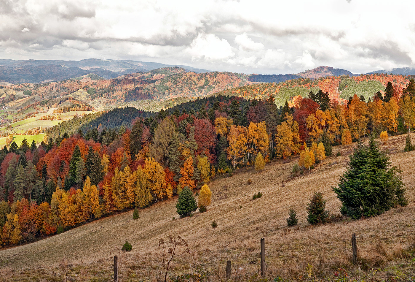 Glottertal