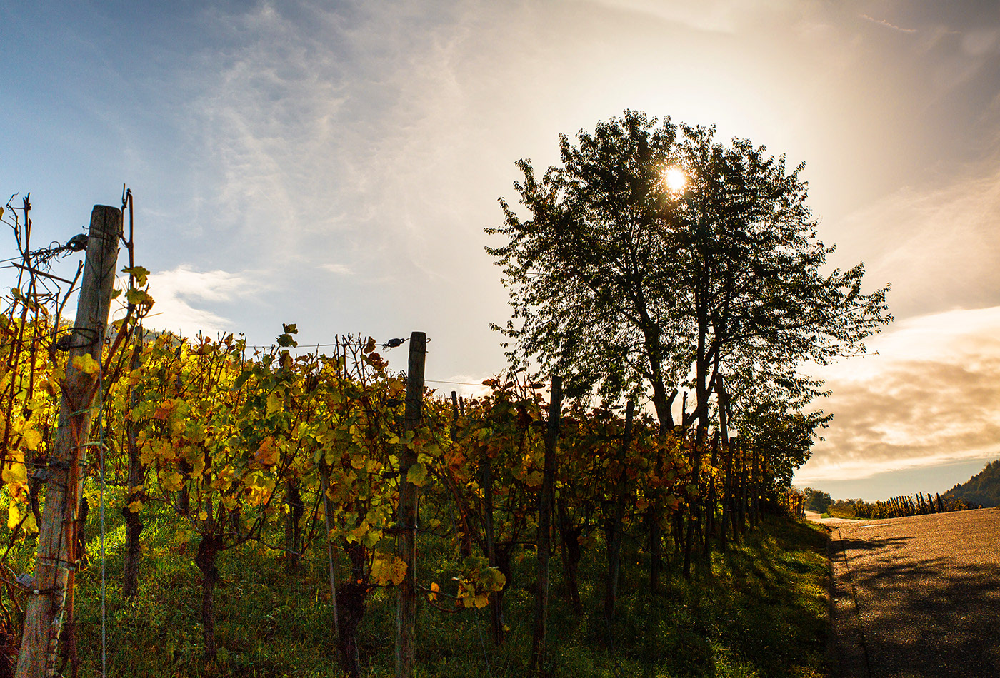 Ebringen