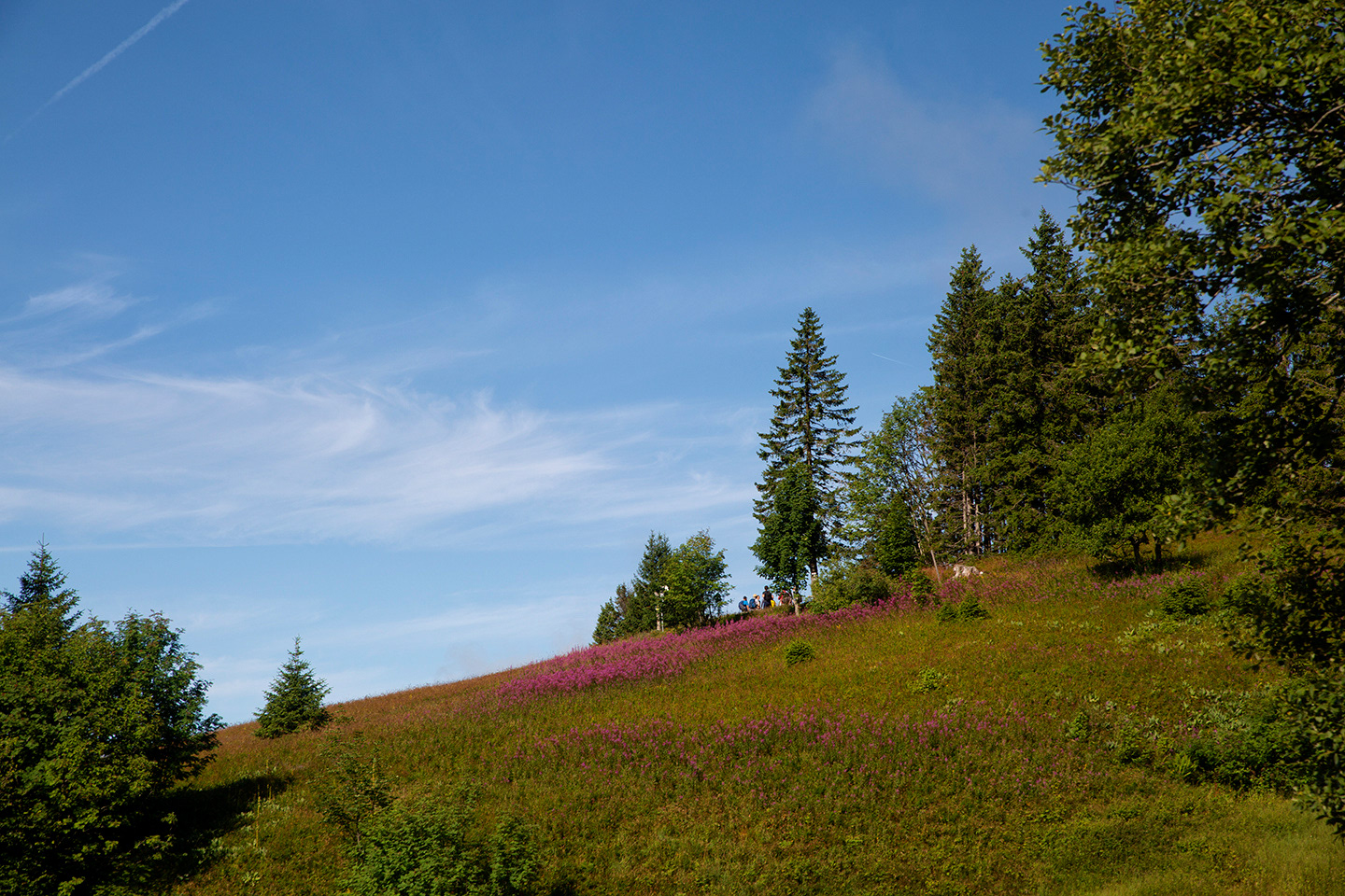 Feldberg