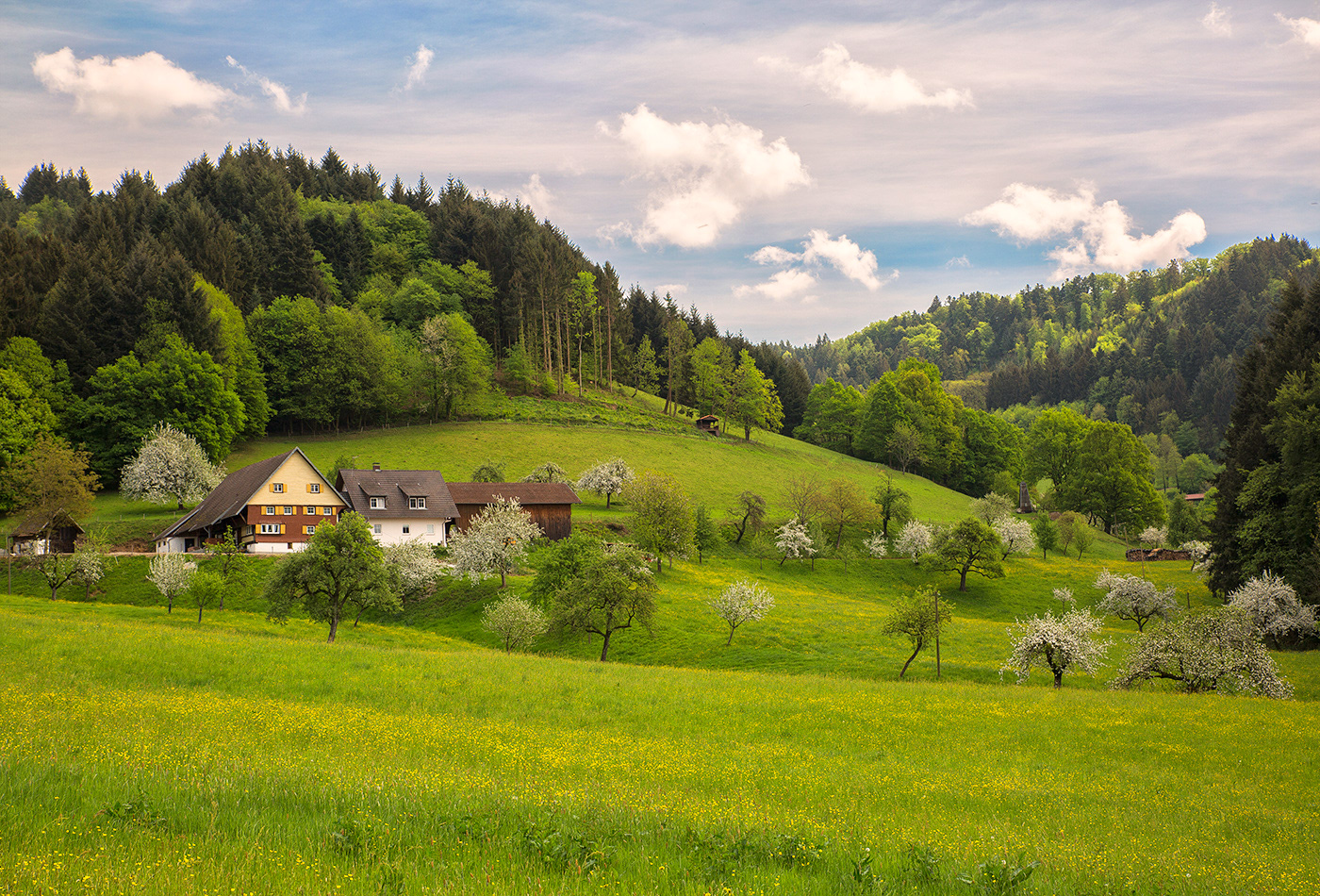 Suggental