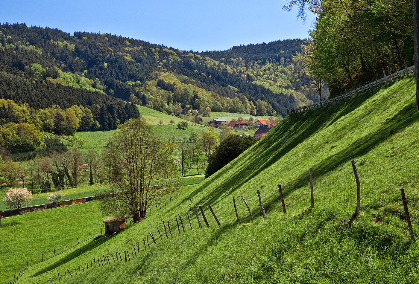 Siensbach