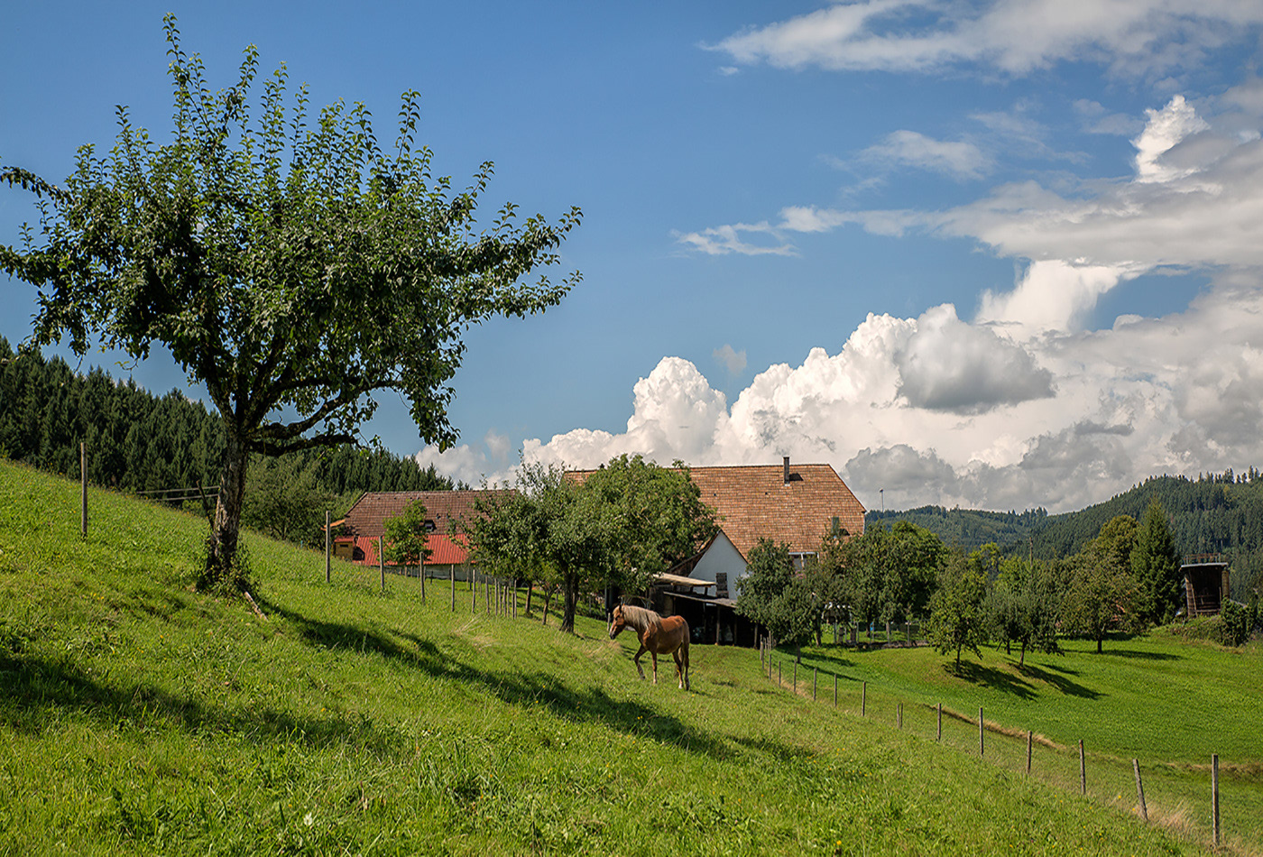 Elzach