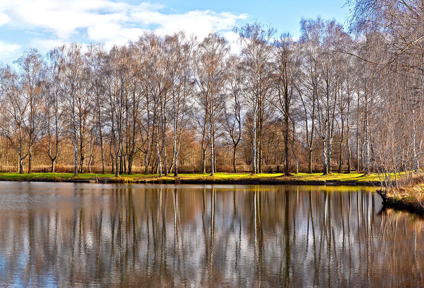 Waldsee