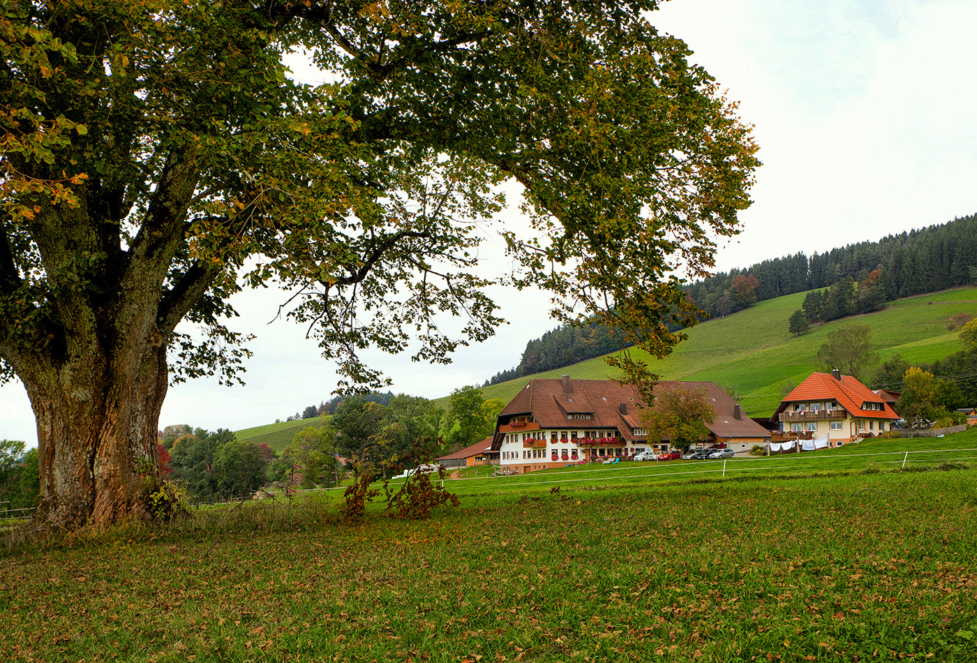 Sankt Peter