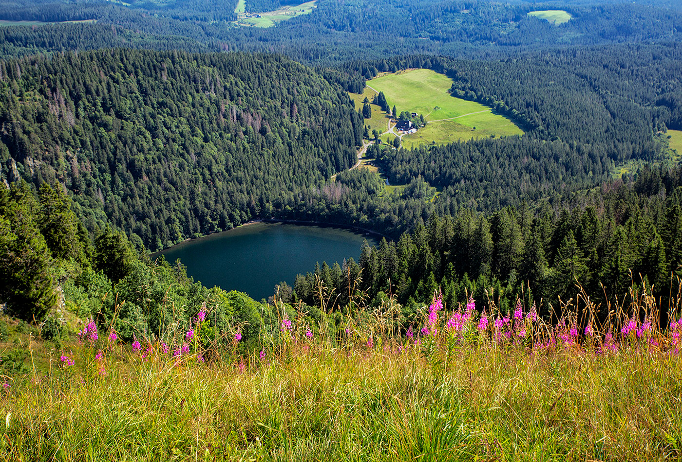 Feldsee