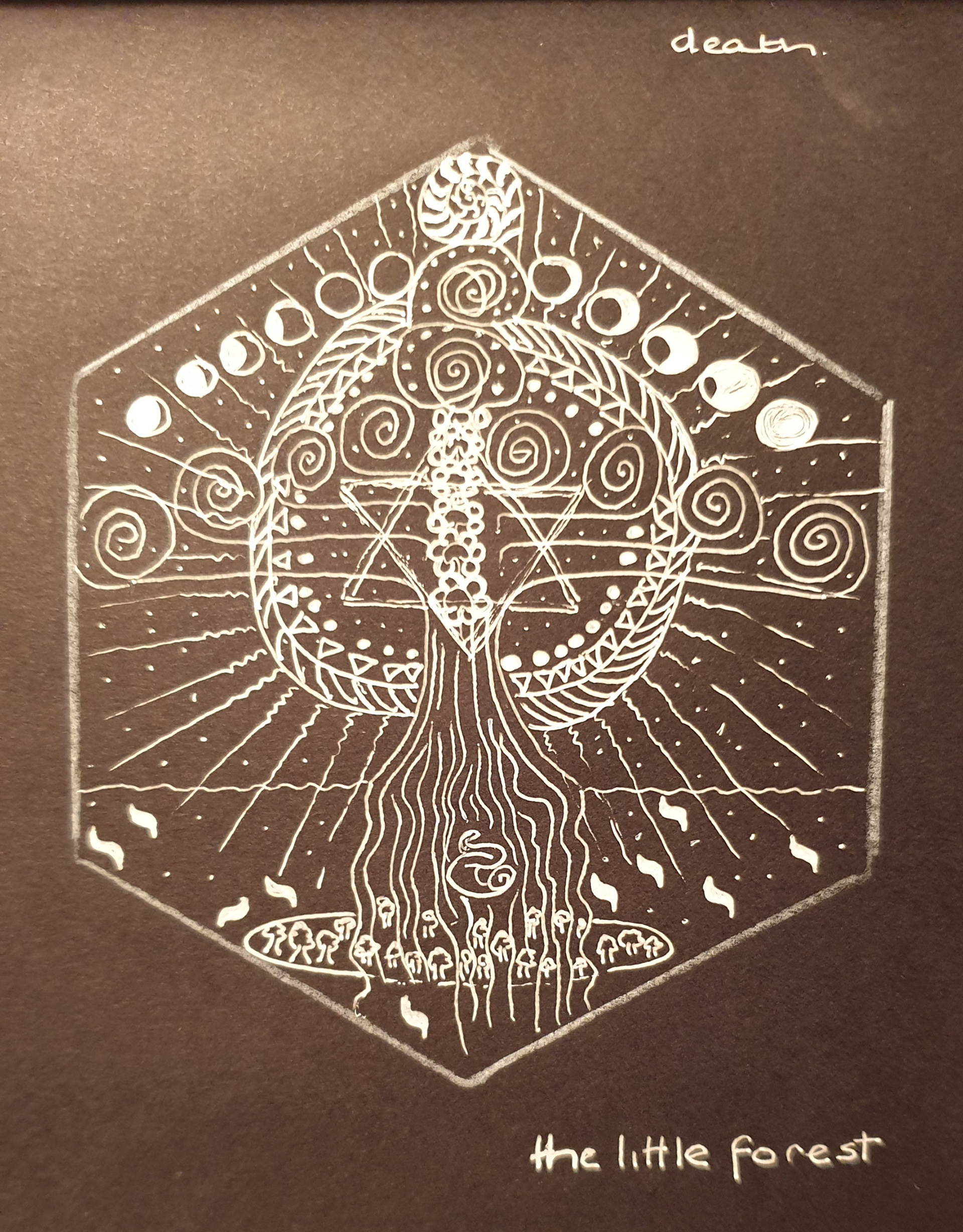 Jo Ziggy, The Little Forest