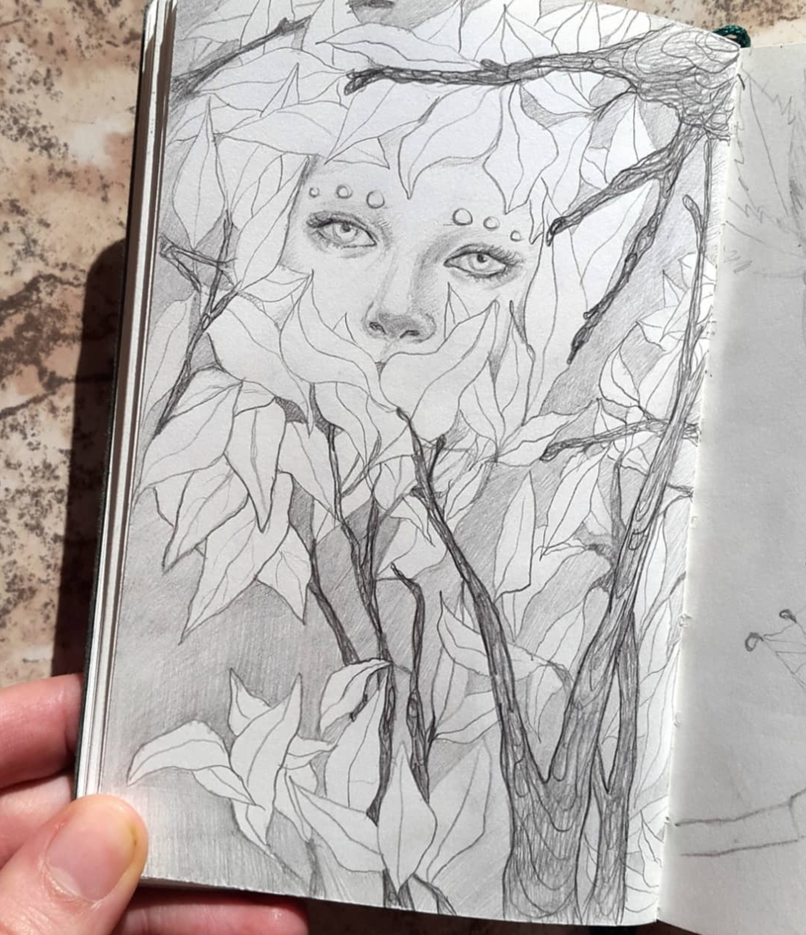 graphite sketch