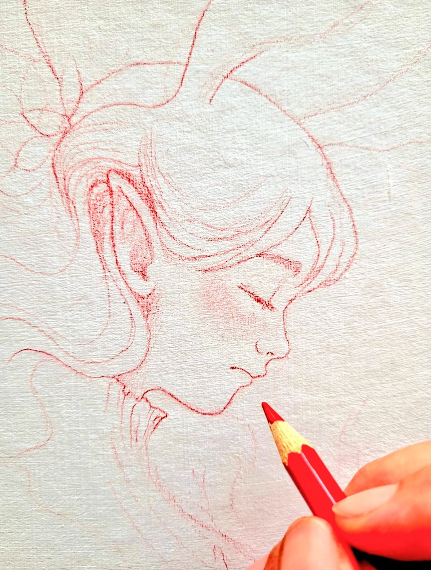 sketch o f cardboard