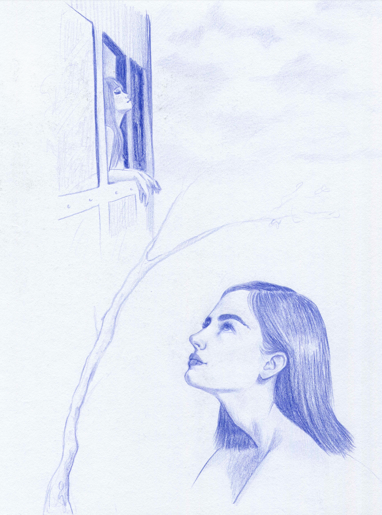 Drawing studies