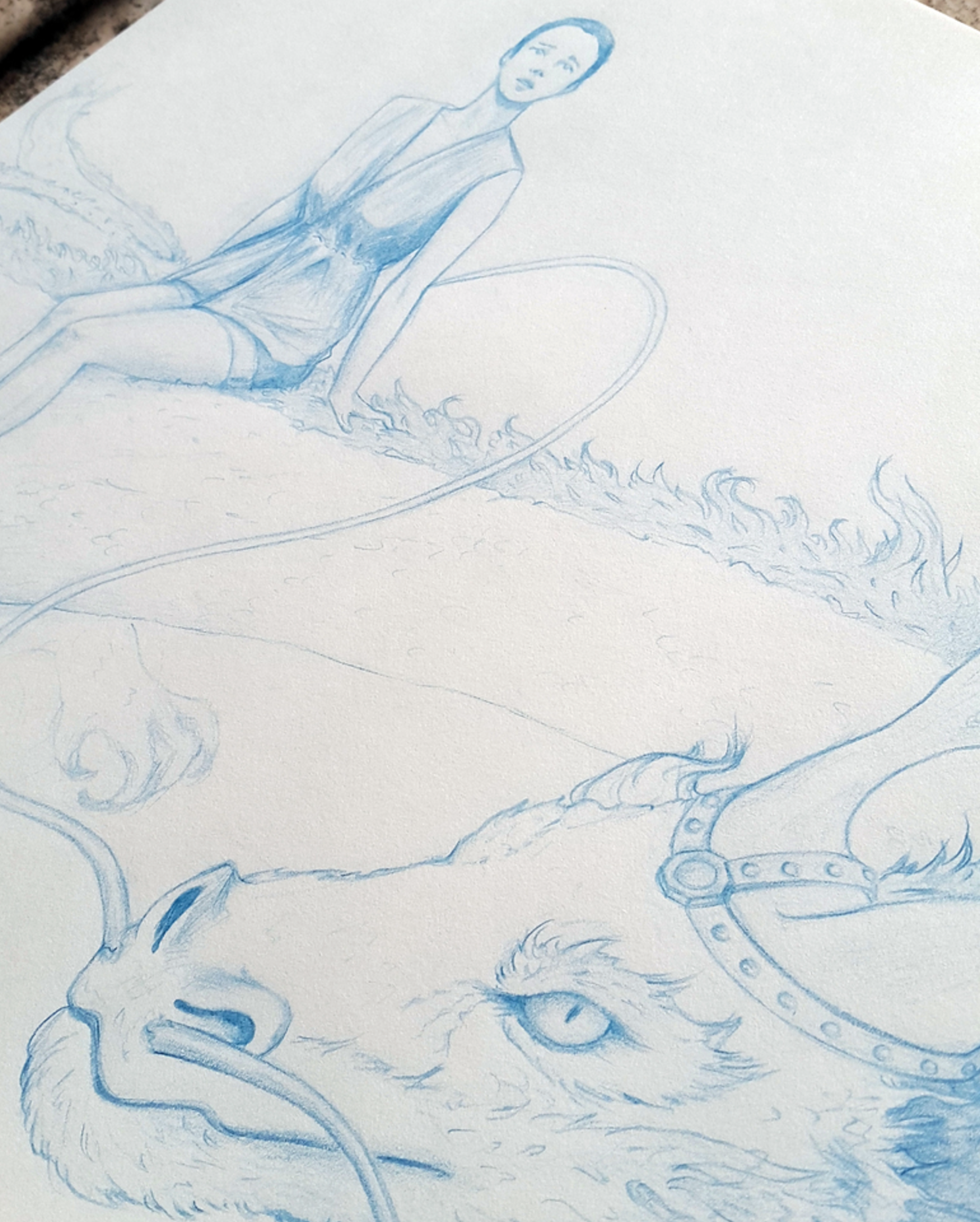 dragon scene