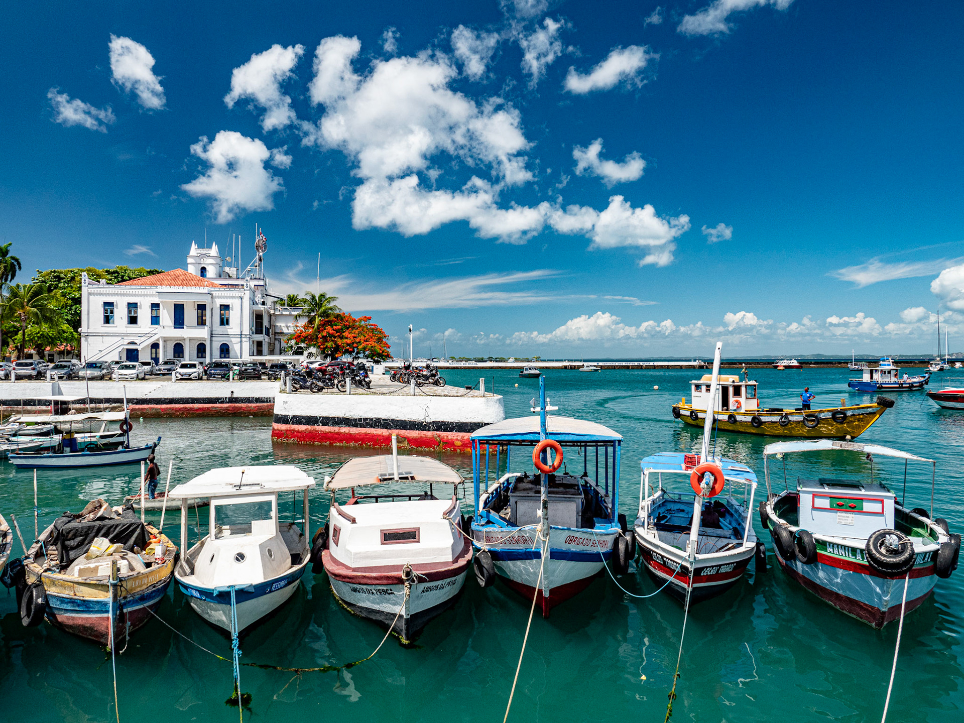03.02.2025 Salvador de Bahia, Brazil. Colorful fishing boats moored in the Port of Salvador, with capitania dos portos in the background