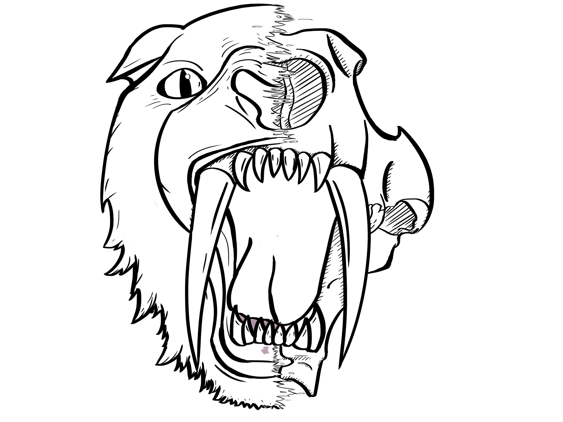 Miles Bloom s Portfolio Sabre Tooth Sticker Design miles-bloom-s-portfolio-sabre-tooth-sticker-design