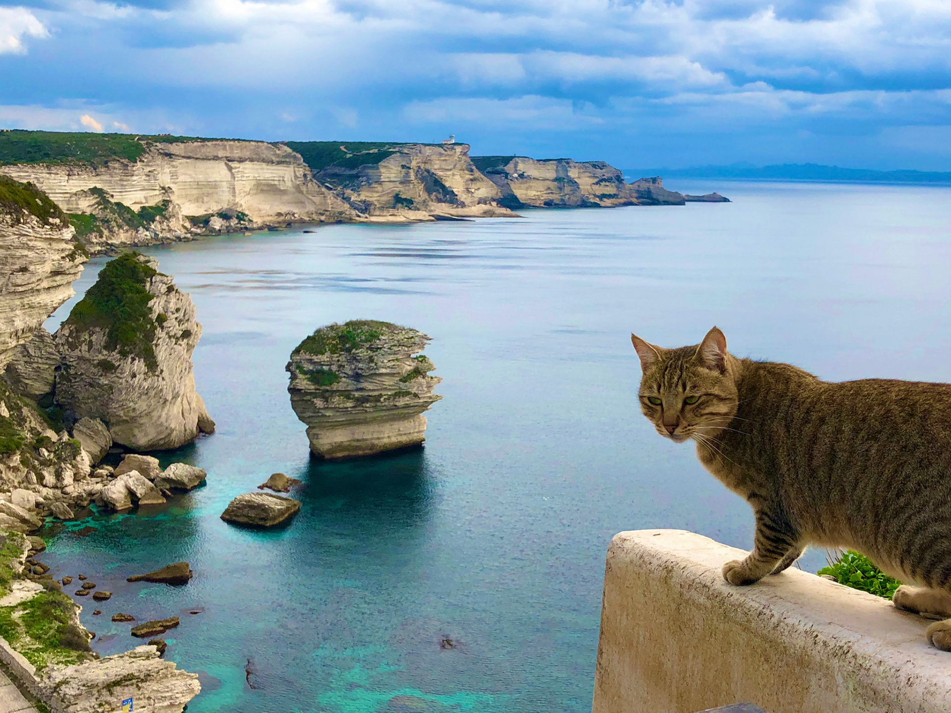 Corsica