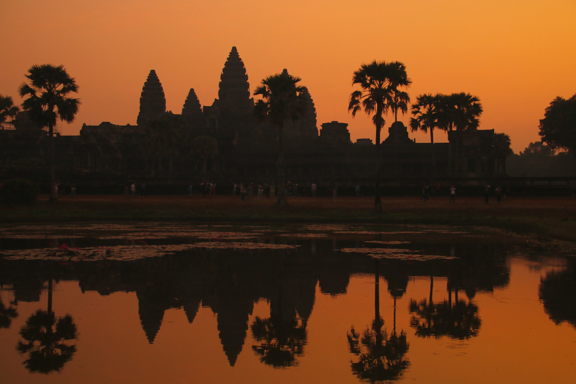 Siam Reap Angkor Wat, 2020