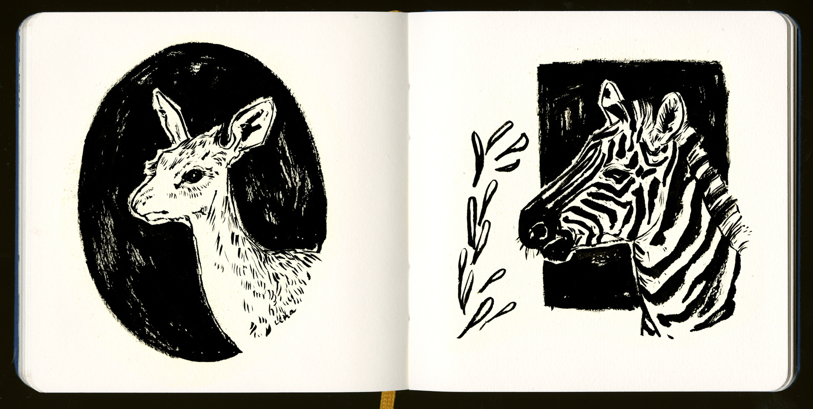 Magdalena Draws - Square Sketchbook