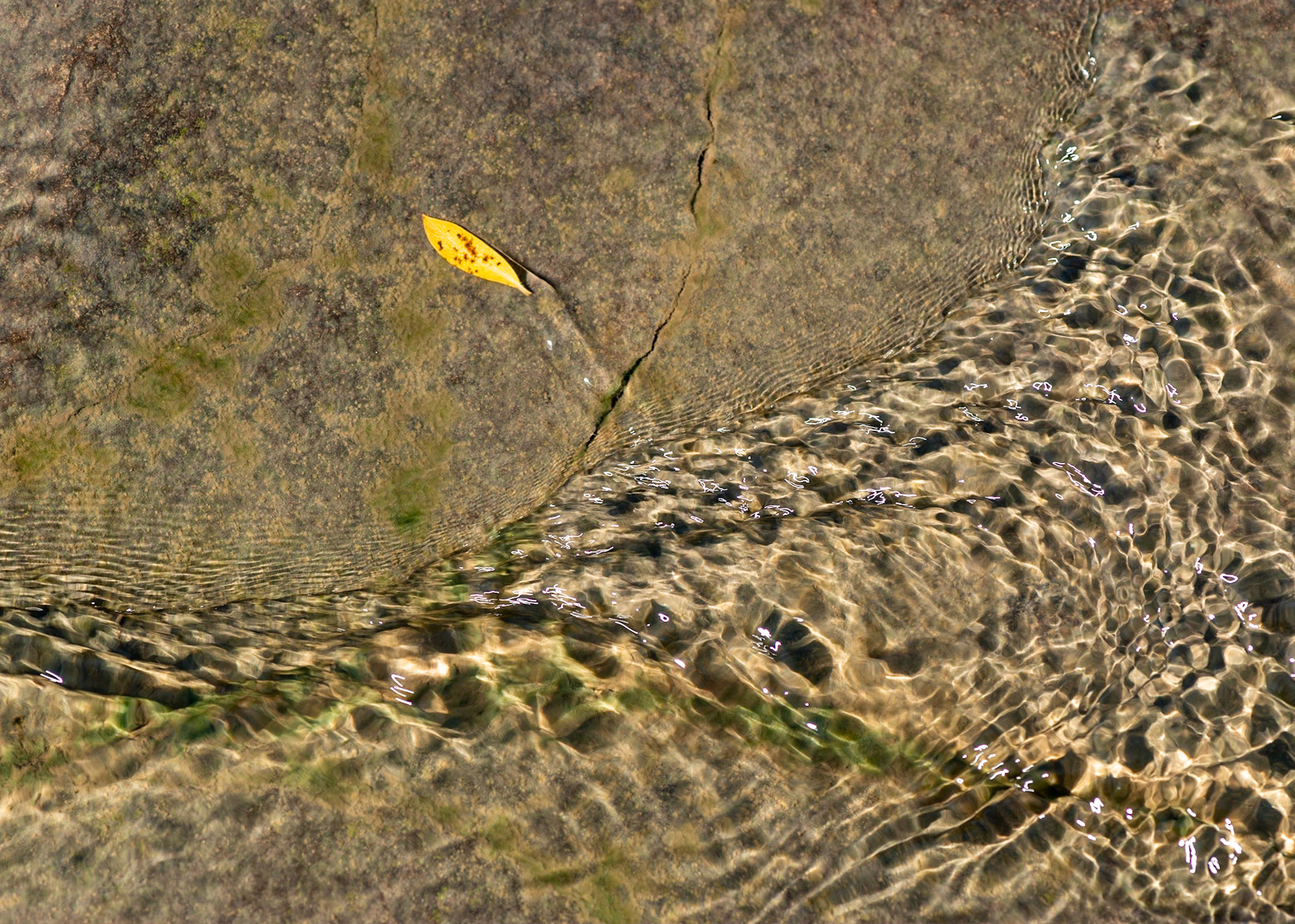 A small detail found in the Ottawa River. I like the simplicity of this composition.