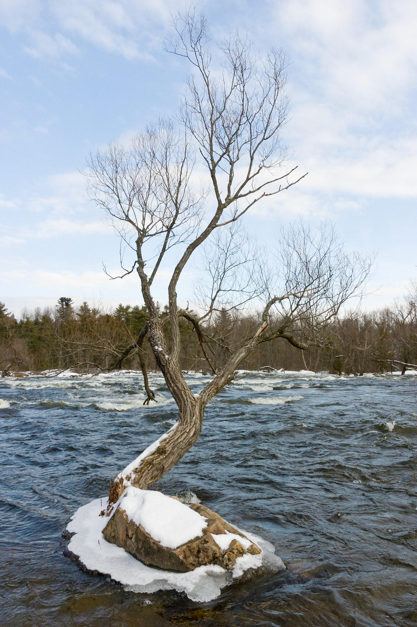 Blakeney Rapids, Mississippi Mills, Ontario; RA Photo Club Outing; November 2008