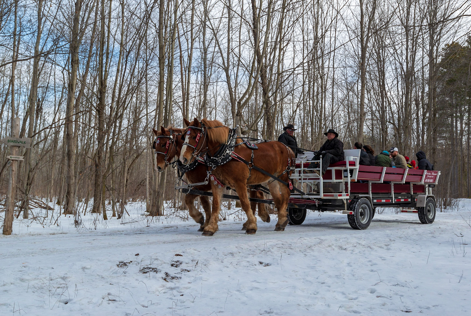A sleigh ride might be more traditional, but with so little snow left on the ground, this mode of transportation is a good substitute.