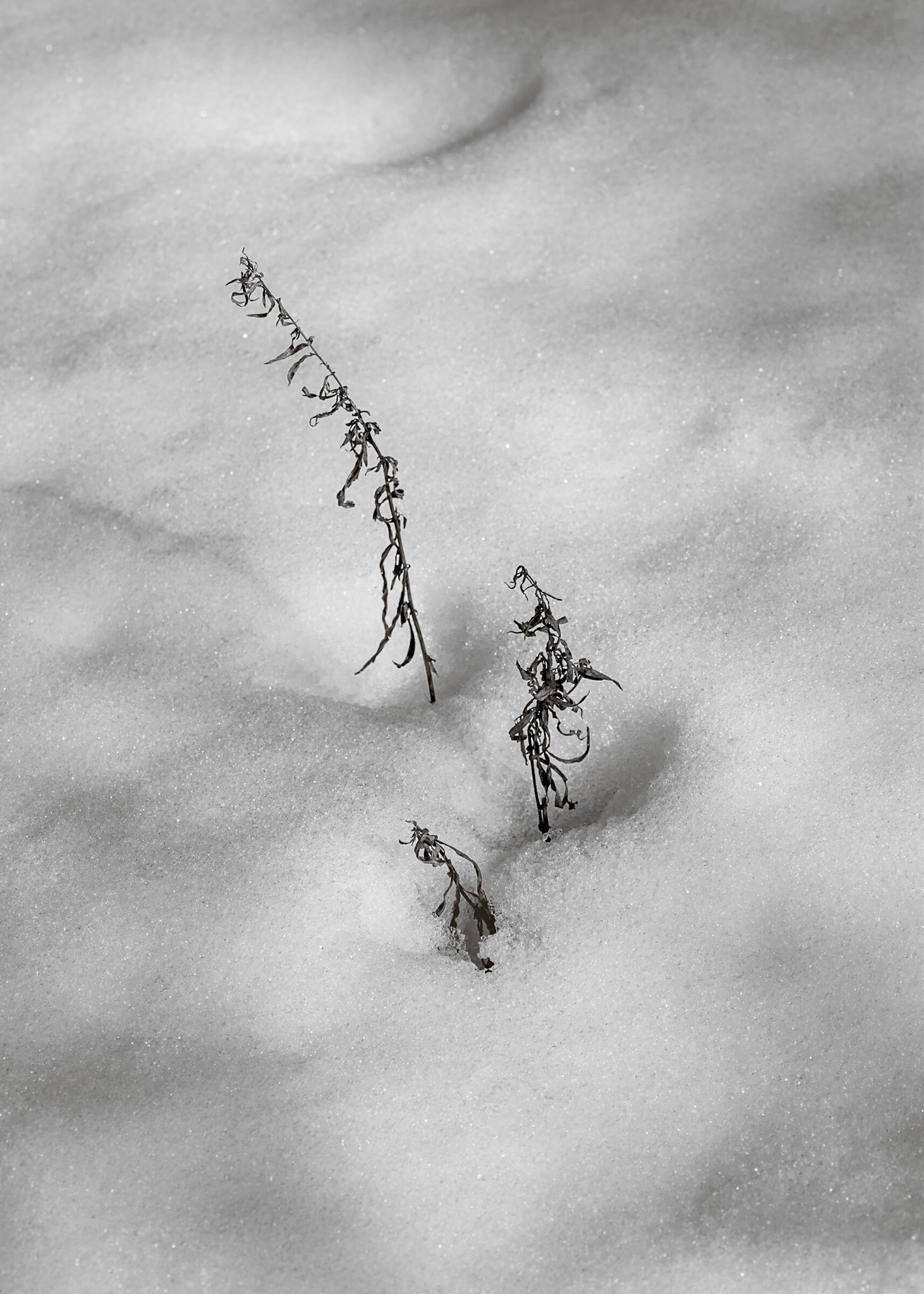 After some time searching, I found this grouping that was nicely lit and isolated.