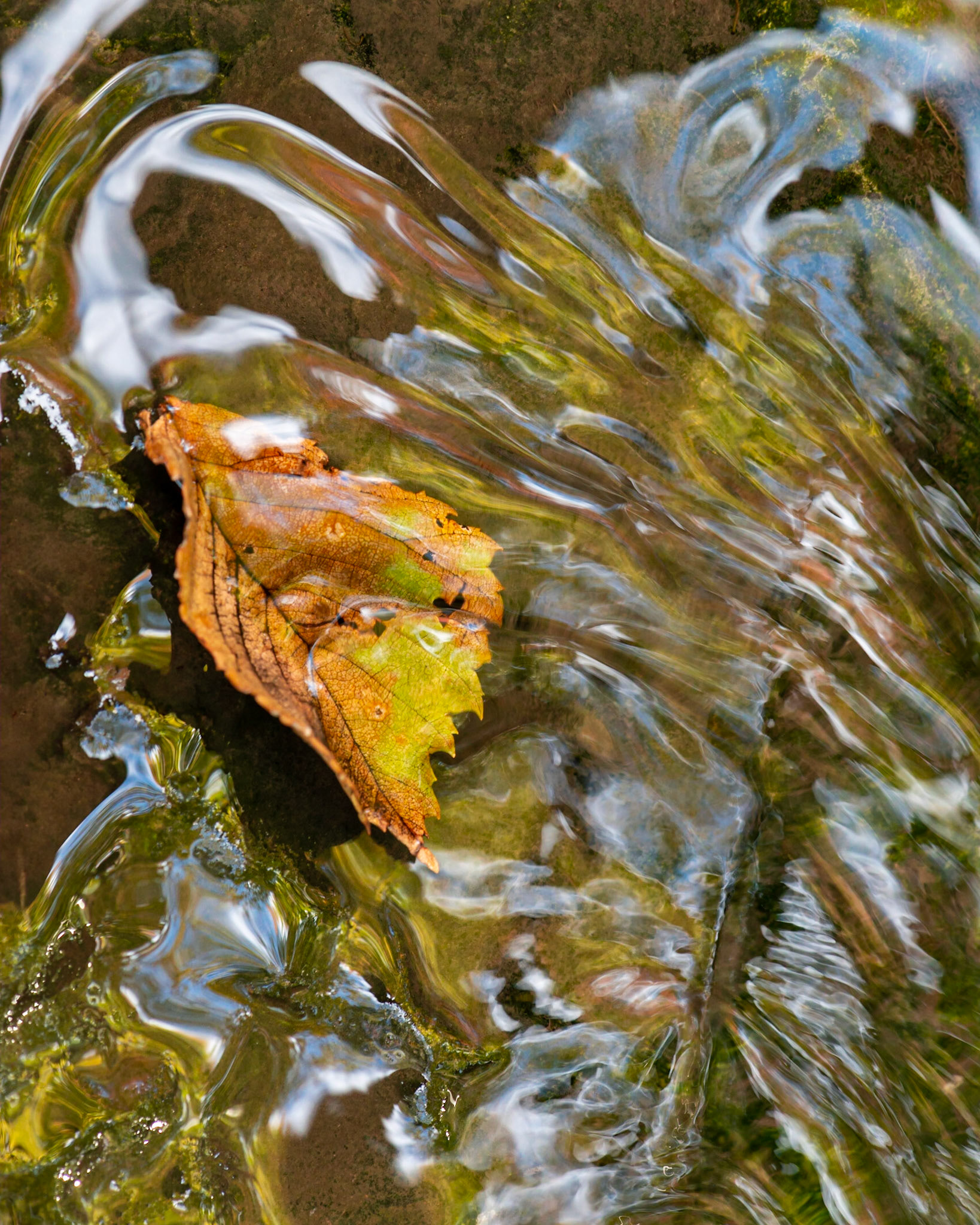 This is another close up shot of the water. The slower shutter speed and surface reflections produce an entirely different visual quality.