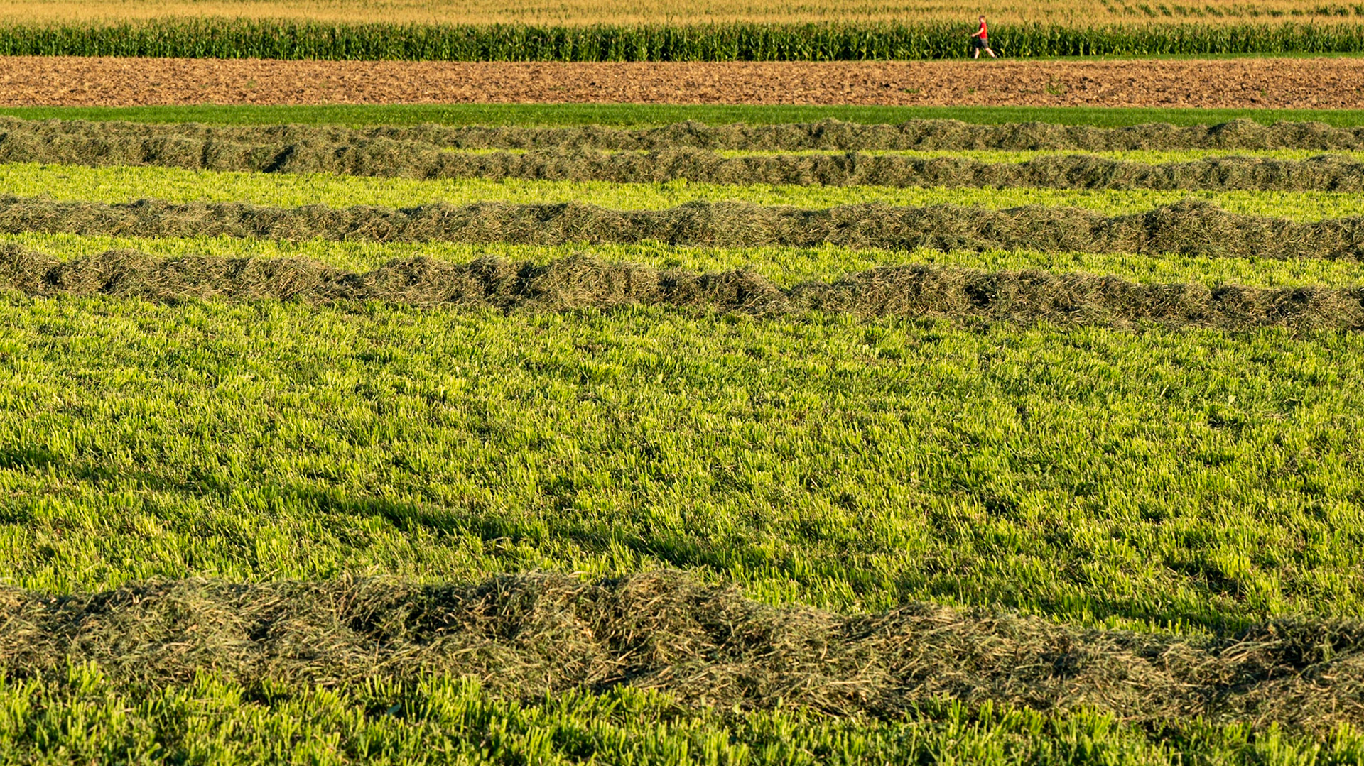 Horizontal lines with a contrasting point of interest. Placing the man so close to the upper edge is an artistic choice as well as one of necessity. It's an uncomfortable position that contrasts with an otherwise static composition.