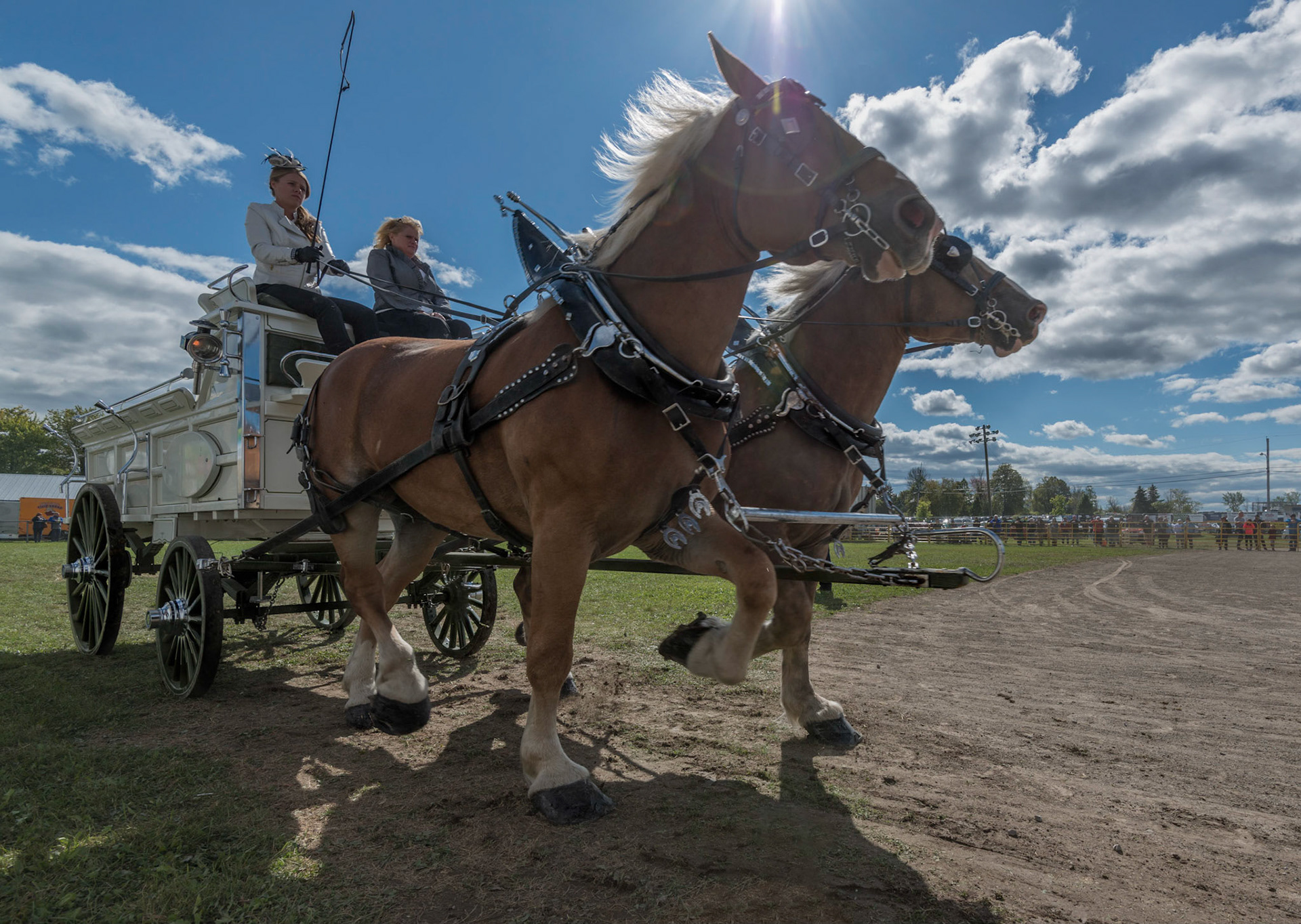 I was very lucky to get the sun flare in the perfect position on this shot. This was taken at waist height, between the rungs of the fence.