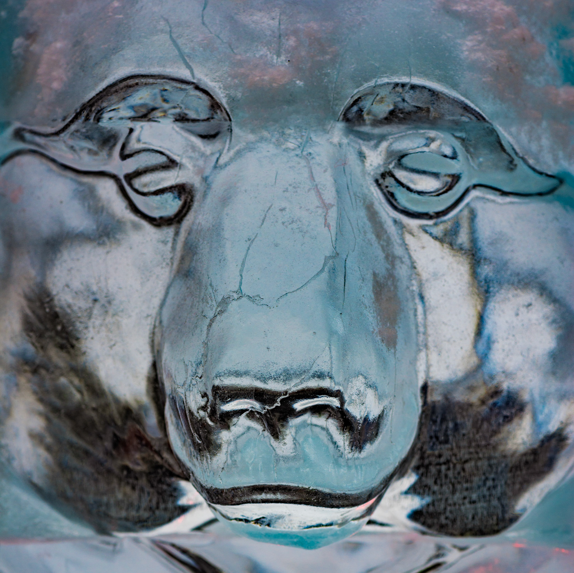 For this sculpture, I chose to take a very tight shot of just the bear's face, and I enhanced contrast in post processing  to bring out its features.