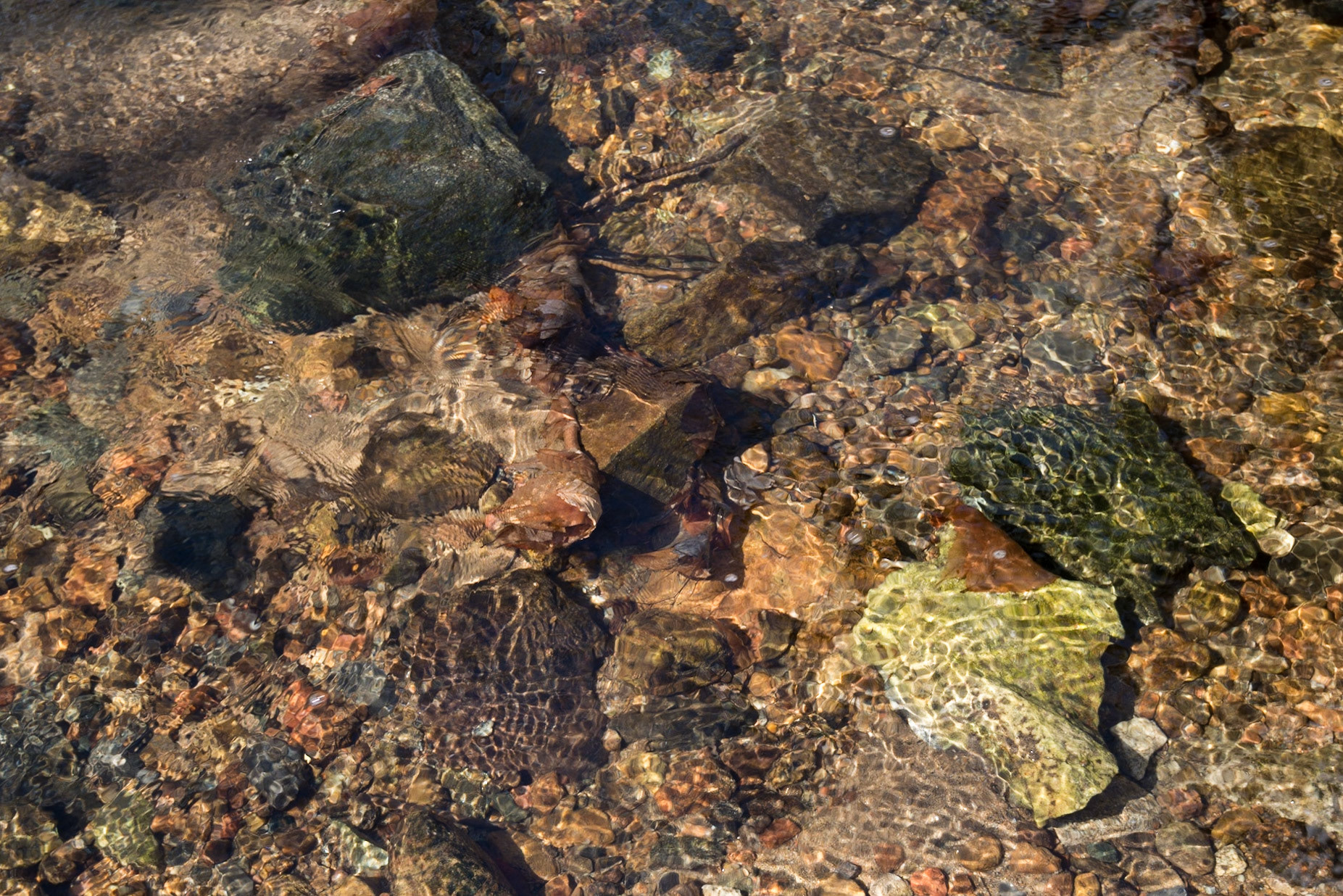 Lots of light, ripples in the surface of the water, and a colourful creek bed made for an interesting shot